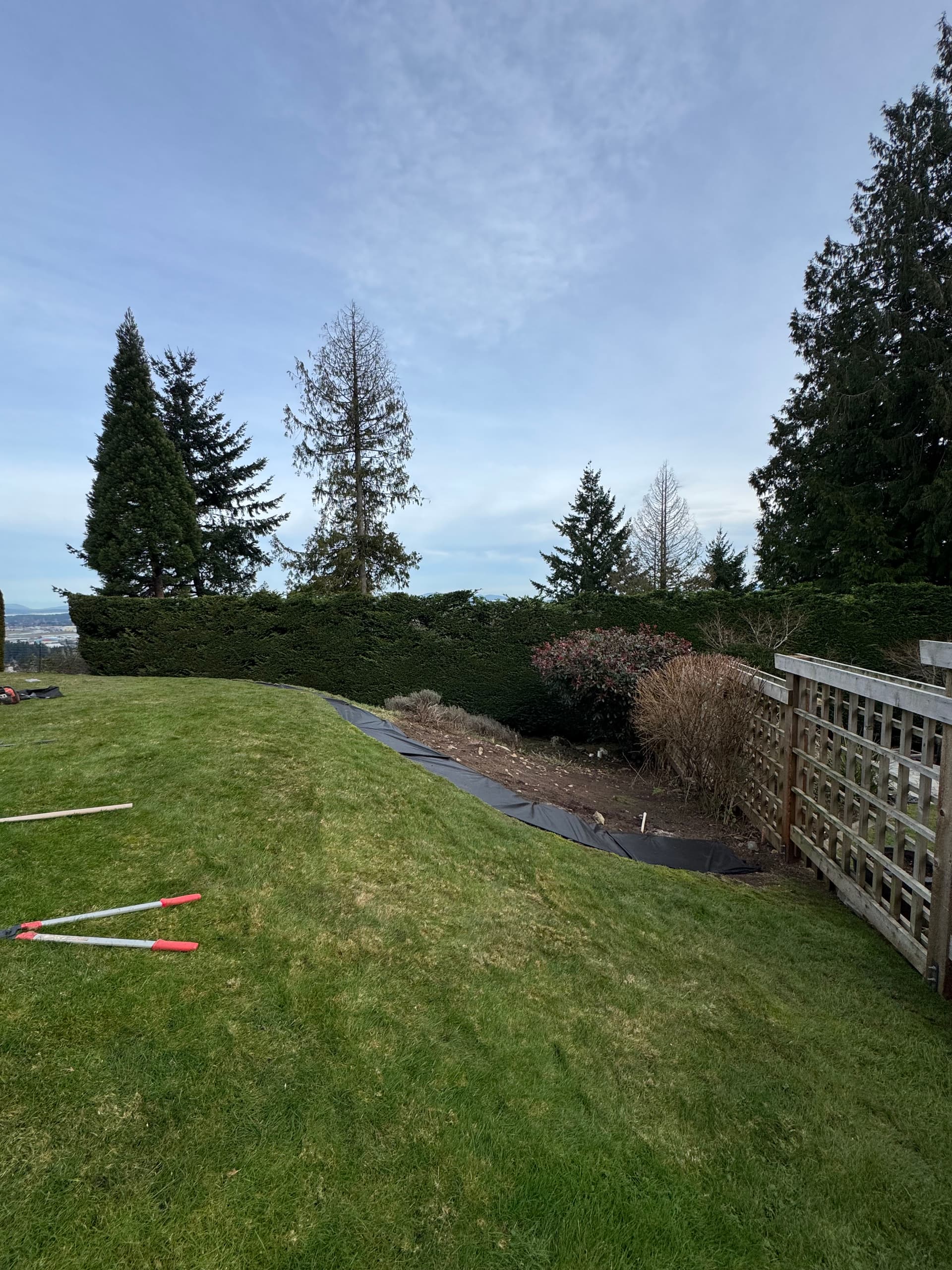 Garden Clean-Up and Refresh