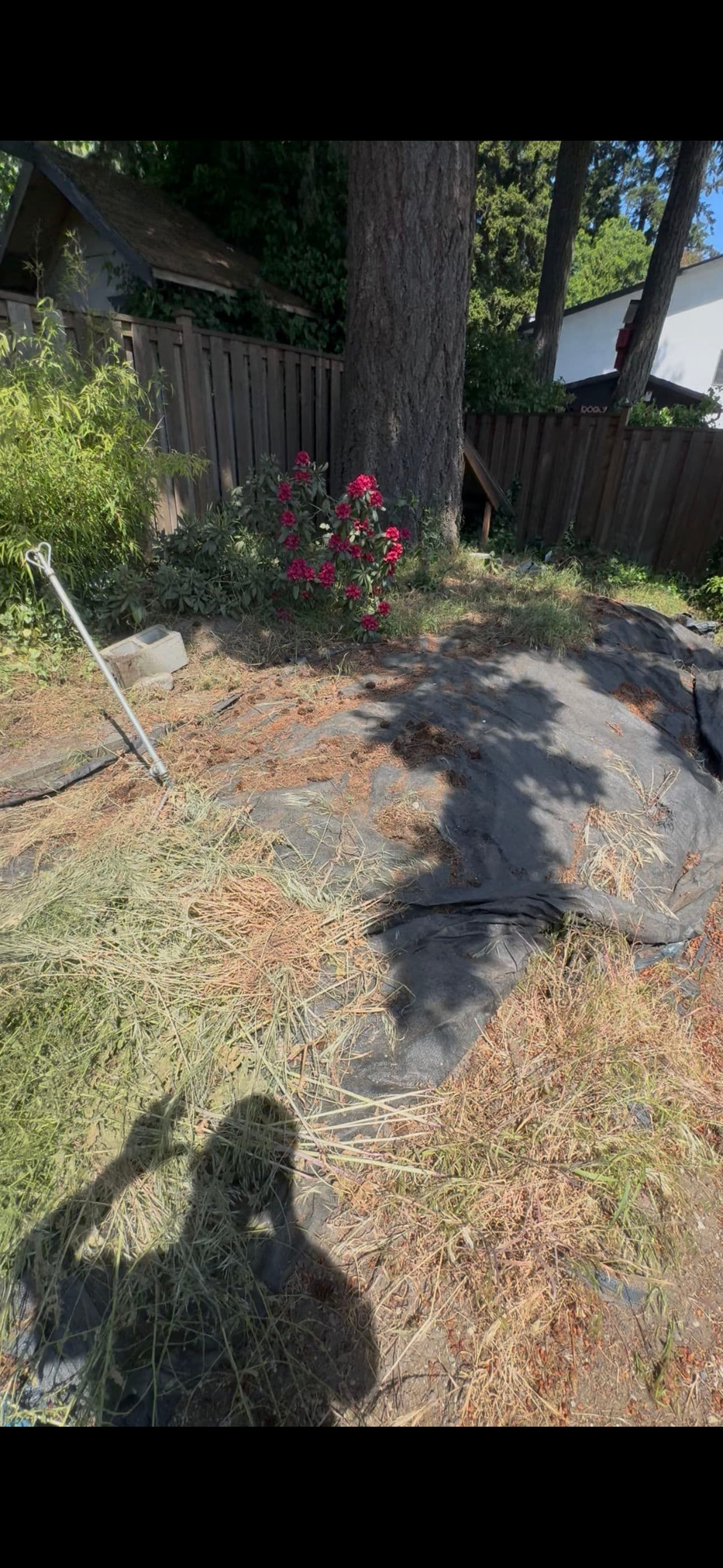 Gallery photos for Finishing an Unfinished Garden Bed and Retaining Wall: Image #1
