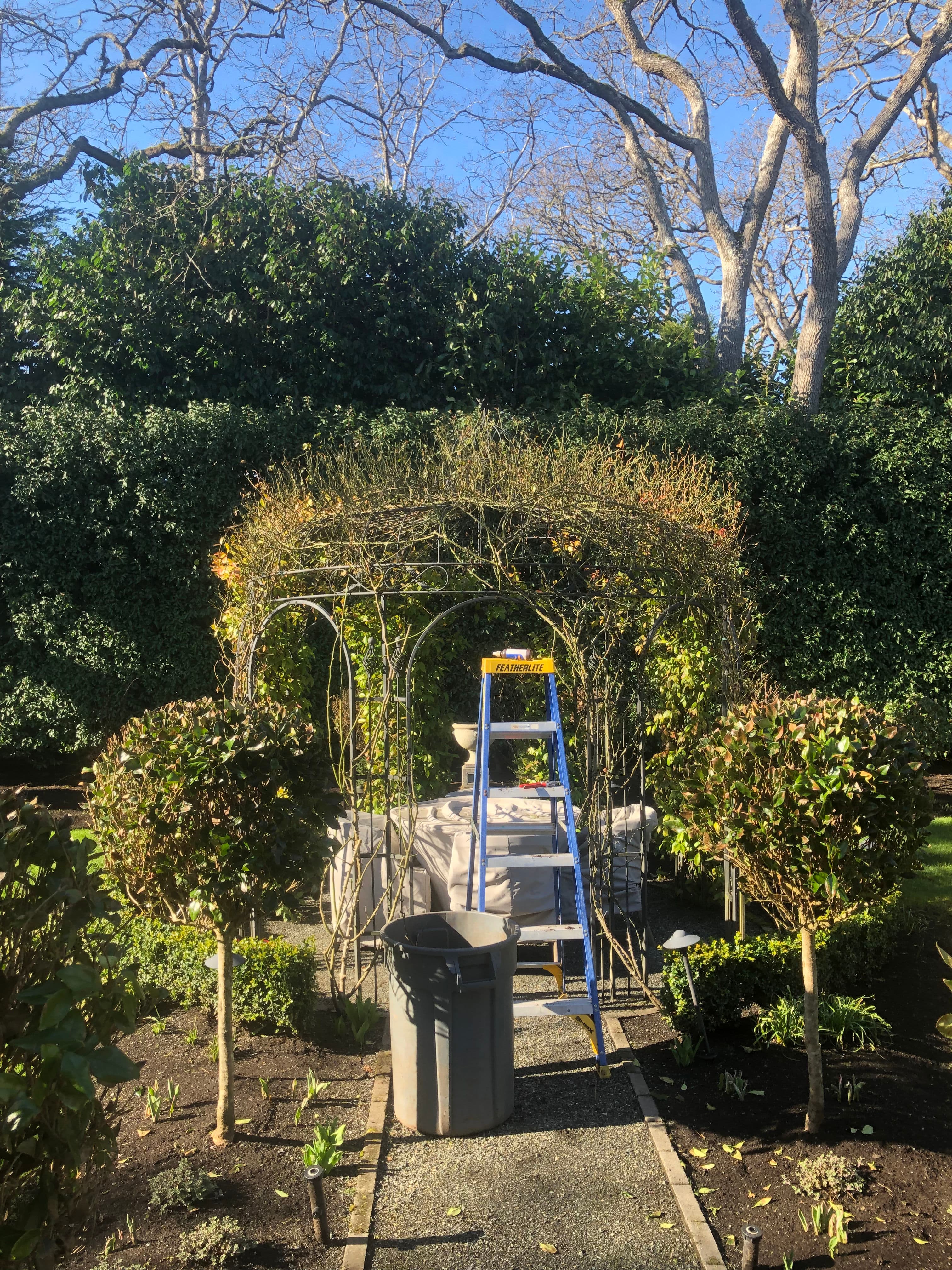 Project Spring Preparation: Garden Makeover image