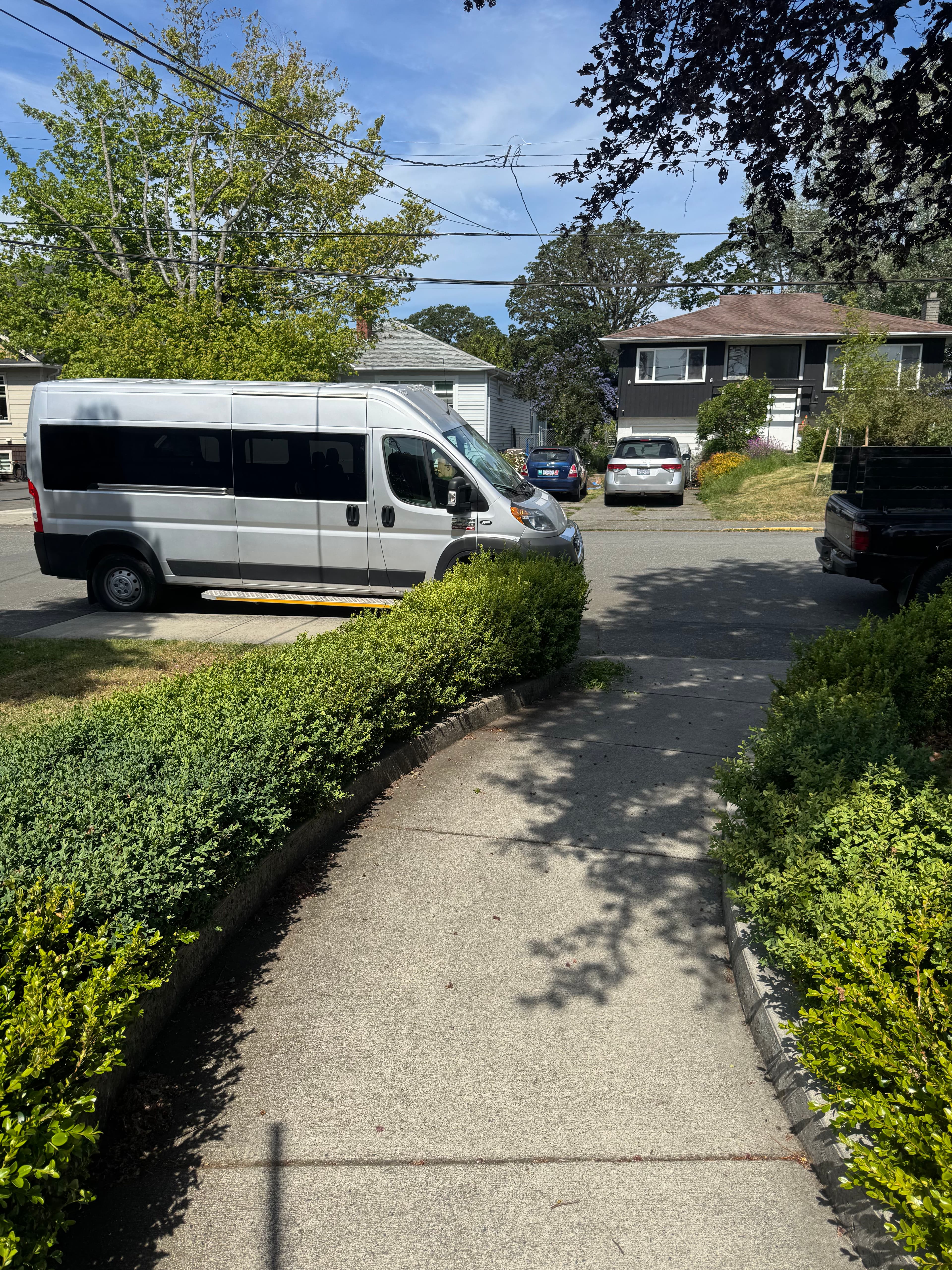 Project Boxwood Hedge Trimming That Sharpens Your Whole Front Yard image