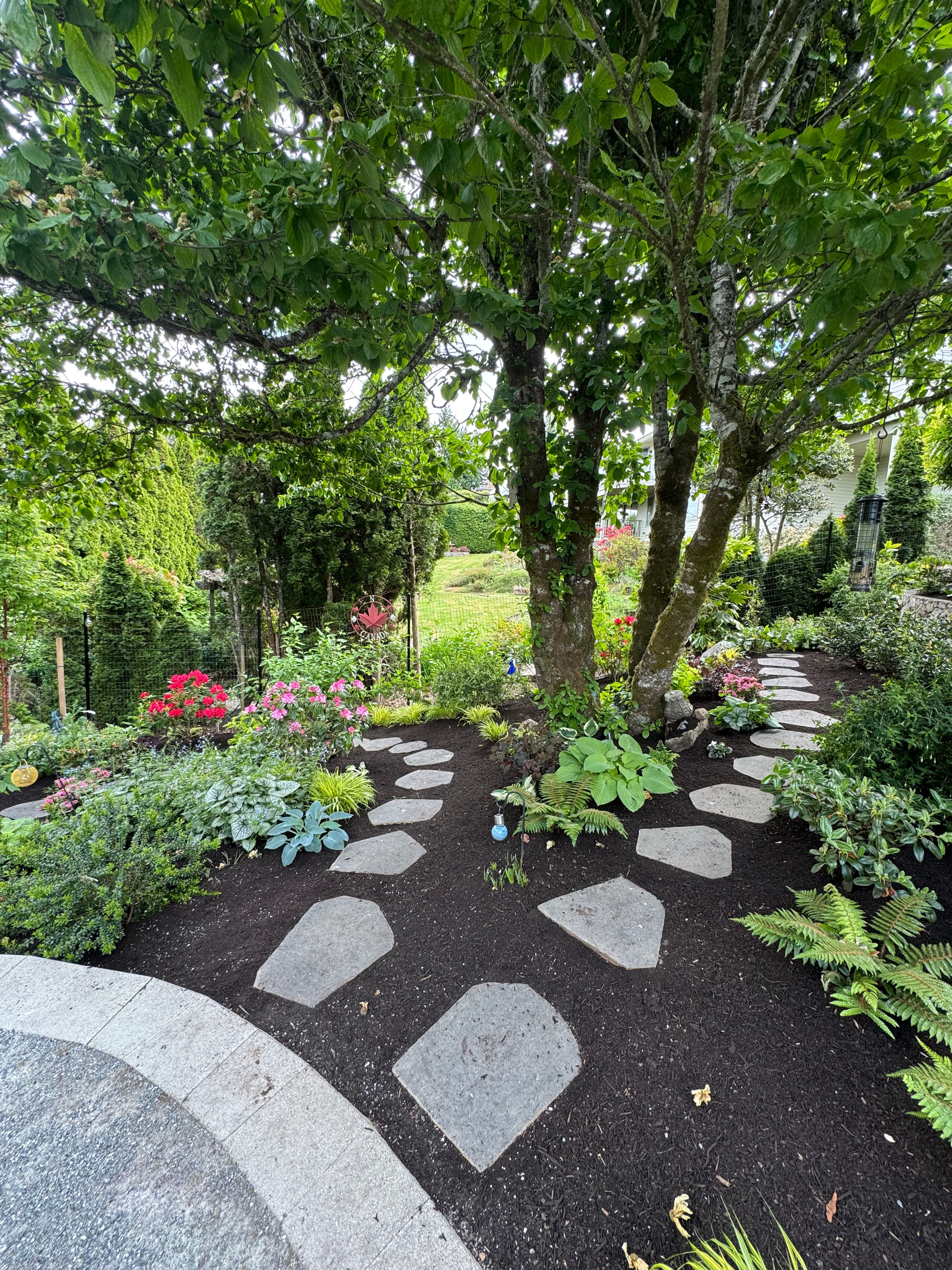 Project A Stone Path Garden That Actually Gets Better Every Year image