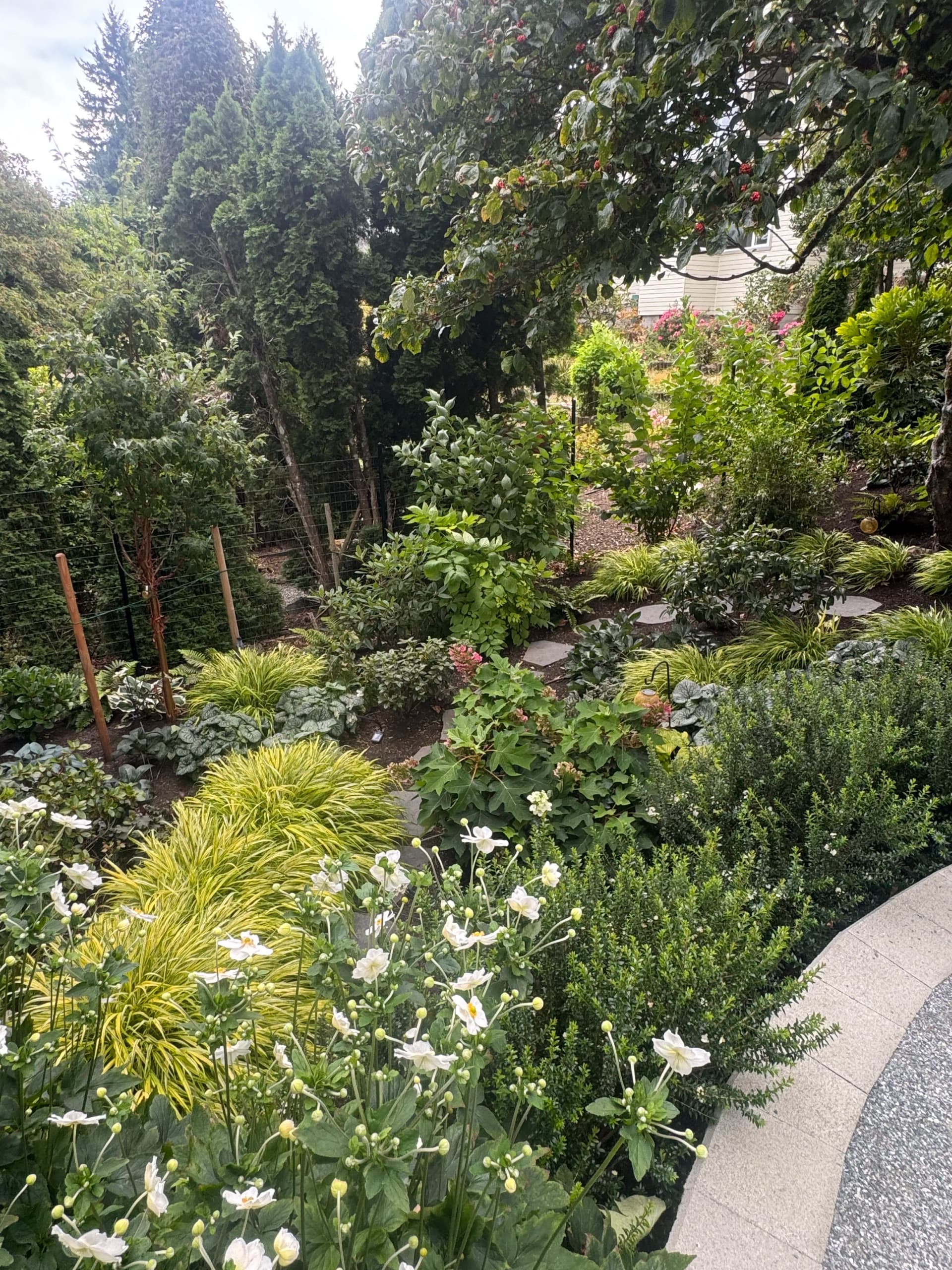 Gallery photos for When a Garden Starts to Feel Like It Was Always There: Image #1