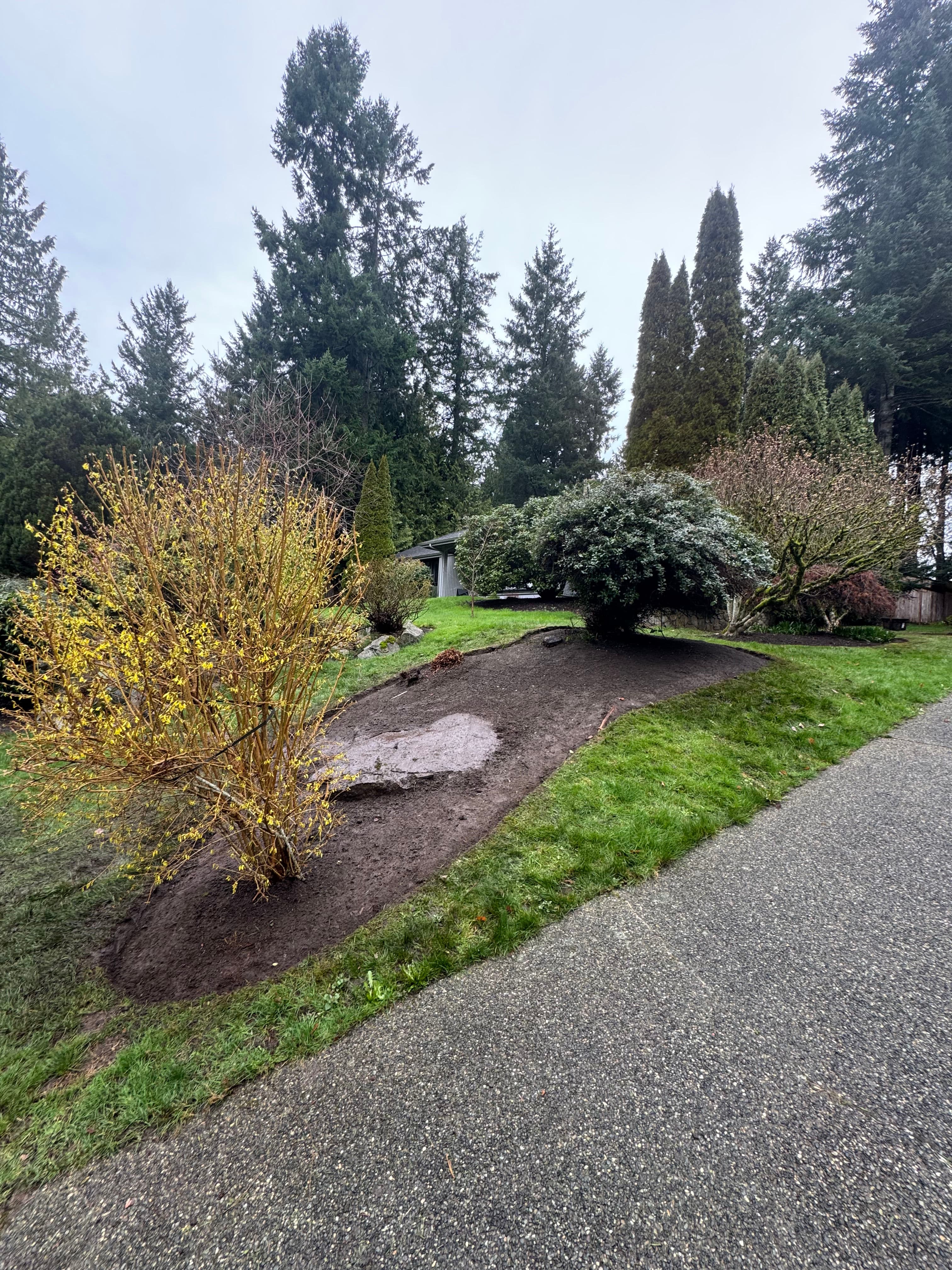 Project From Lawn to Lovely Garden image