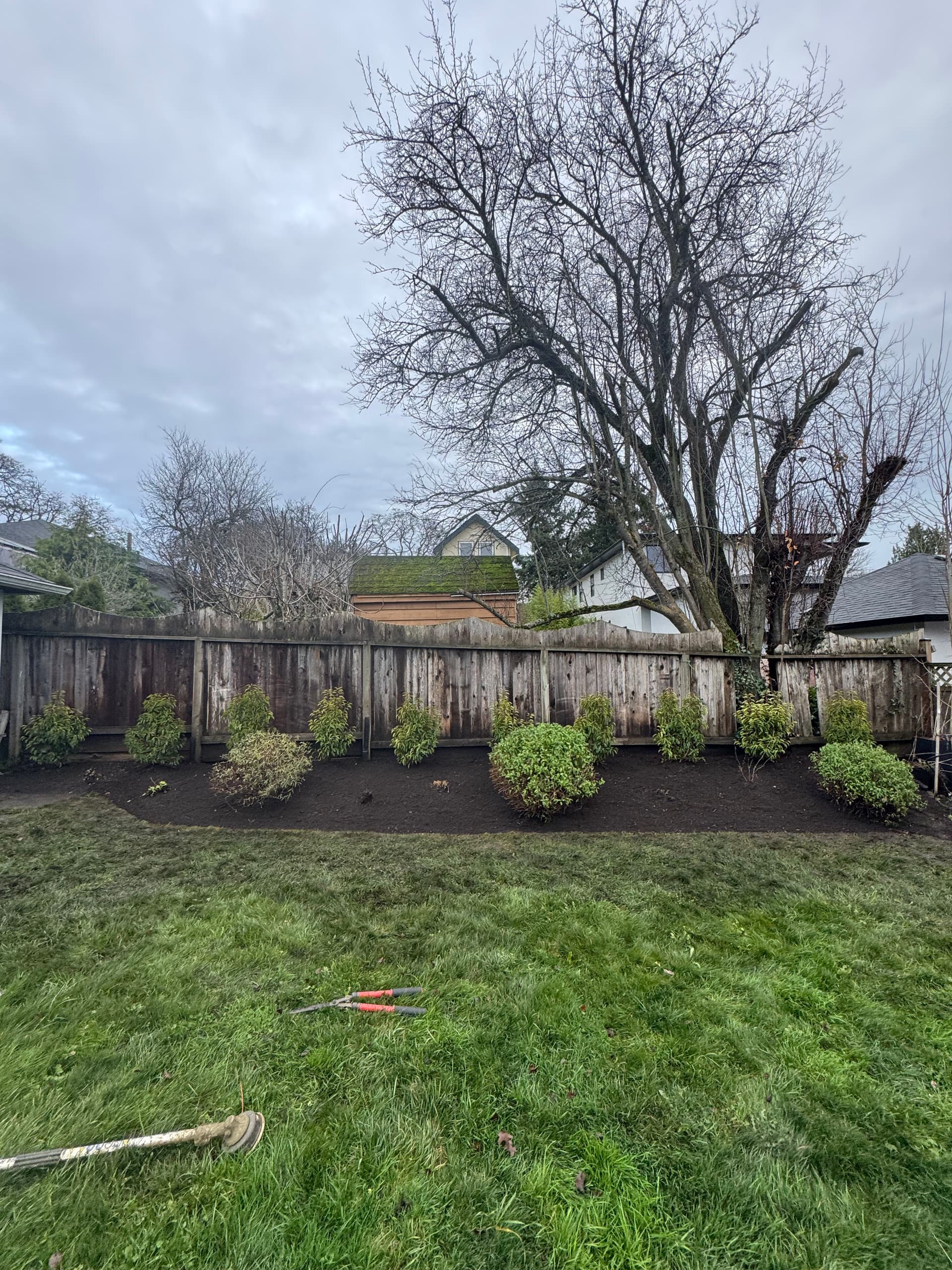 Gallery photos for Garden Refresh with Portuguese Laurel Hedge Installation: Image #3