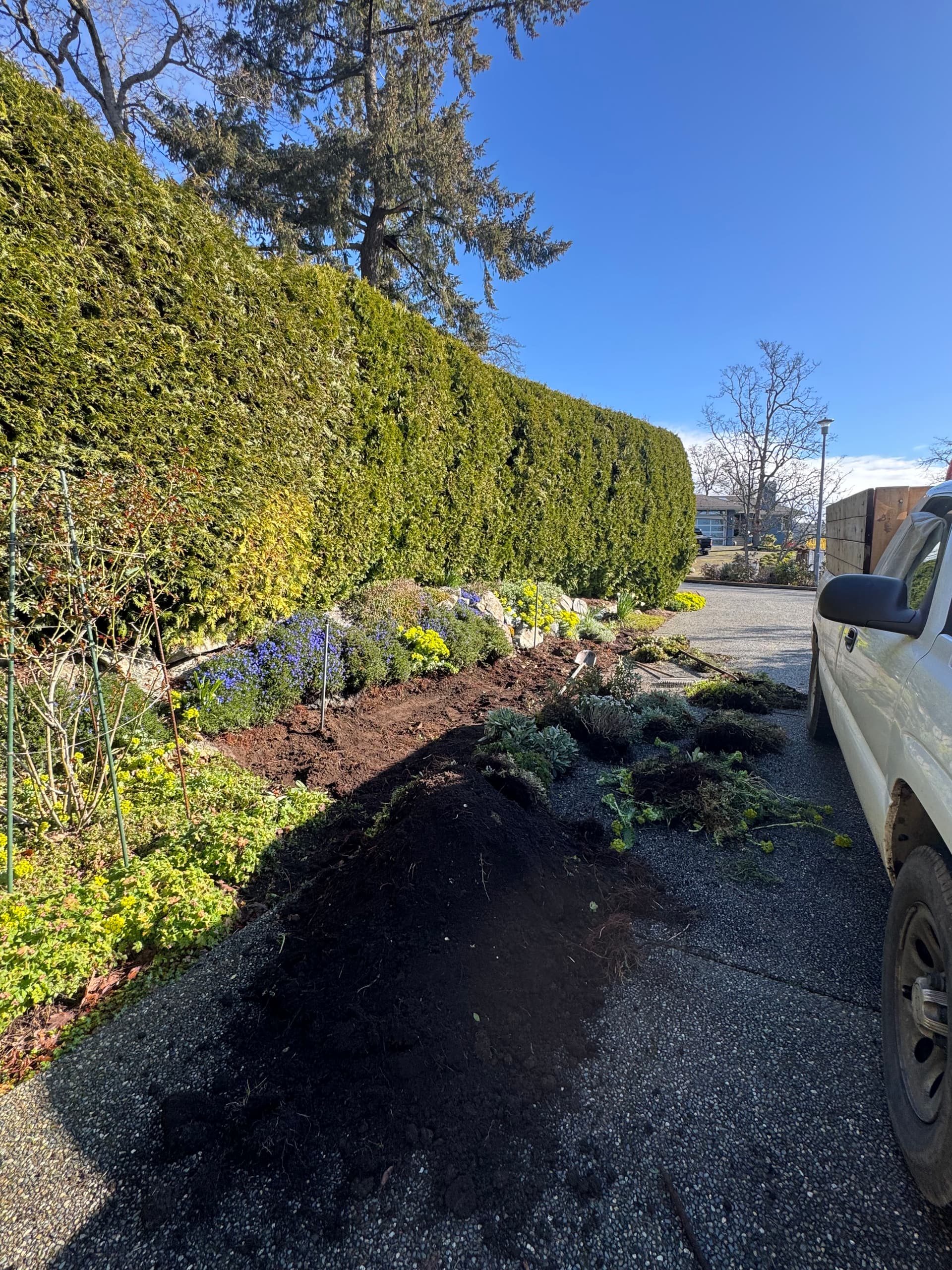 Gallery photos for Prepping a Garden Bed for River Rock Along a Driveway Path: Image #1
