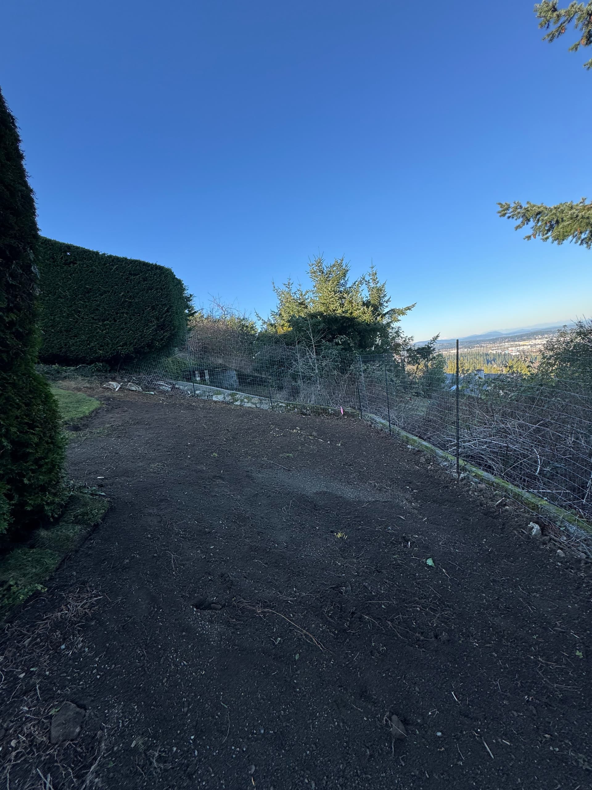 Turning a Sloped Challenge into a Scenic Space