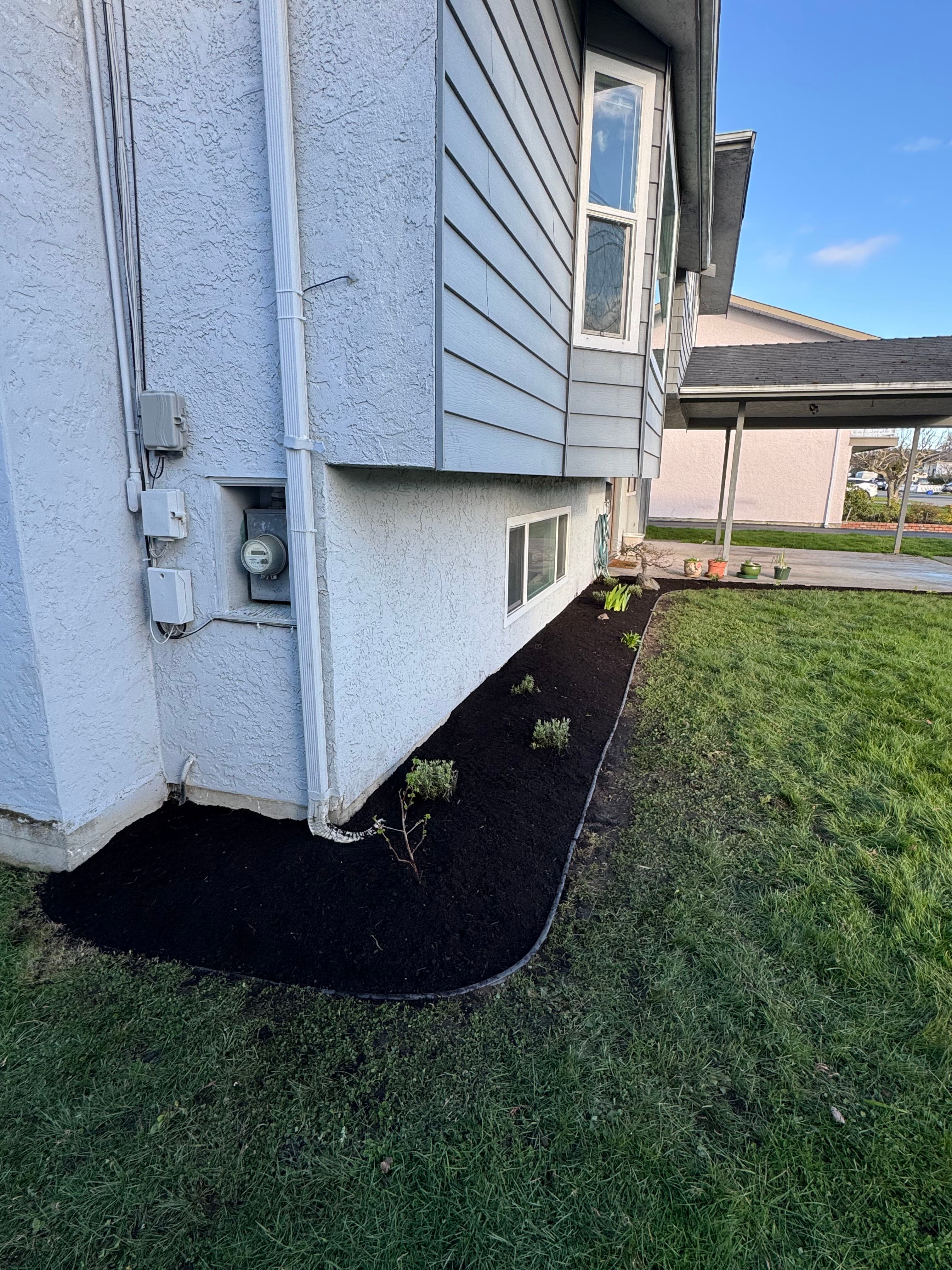 Project From Overgrown to Stunning Garden Oasis image