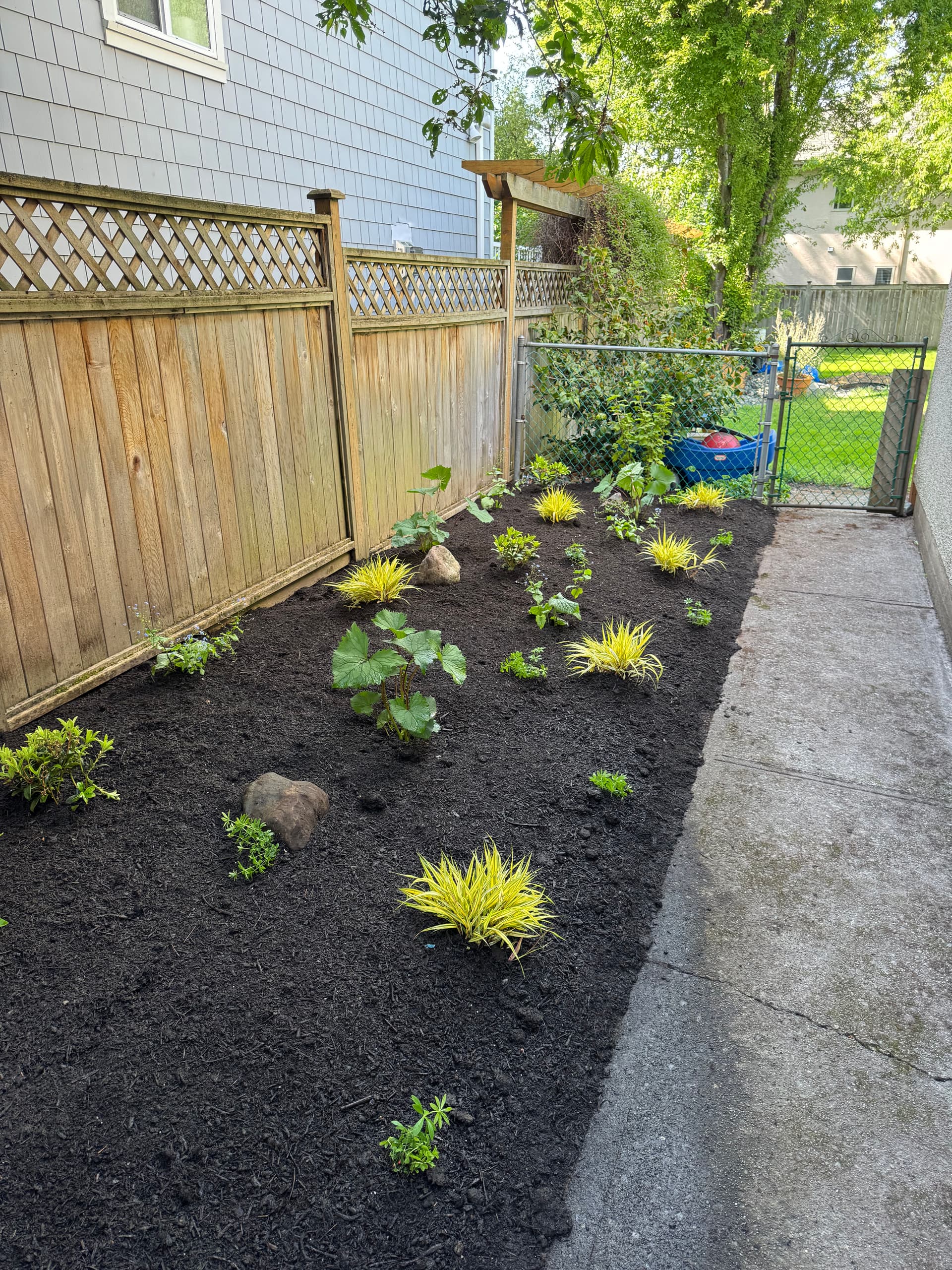 Gallery photos for Shade Garden Install That Actually Works in a Tricky Narrow Space: Image #3