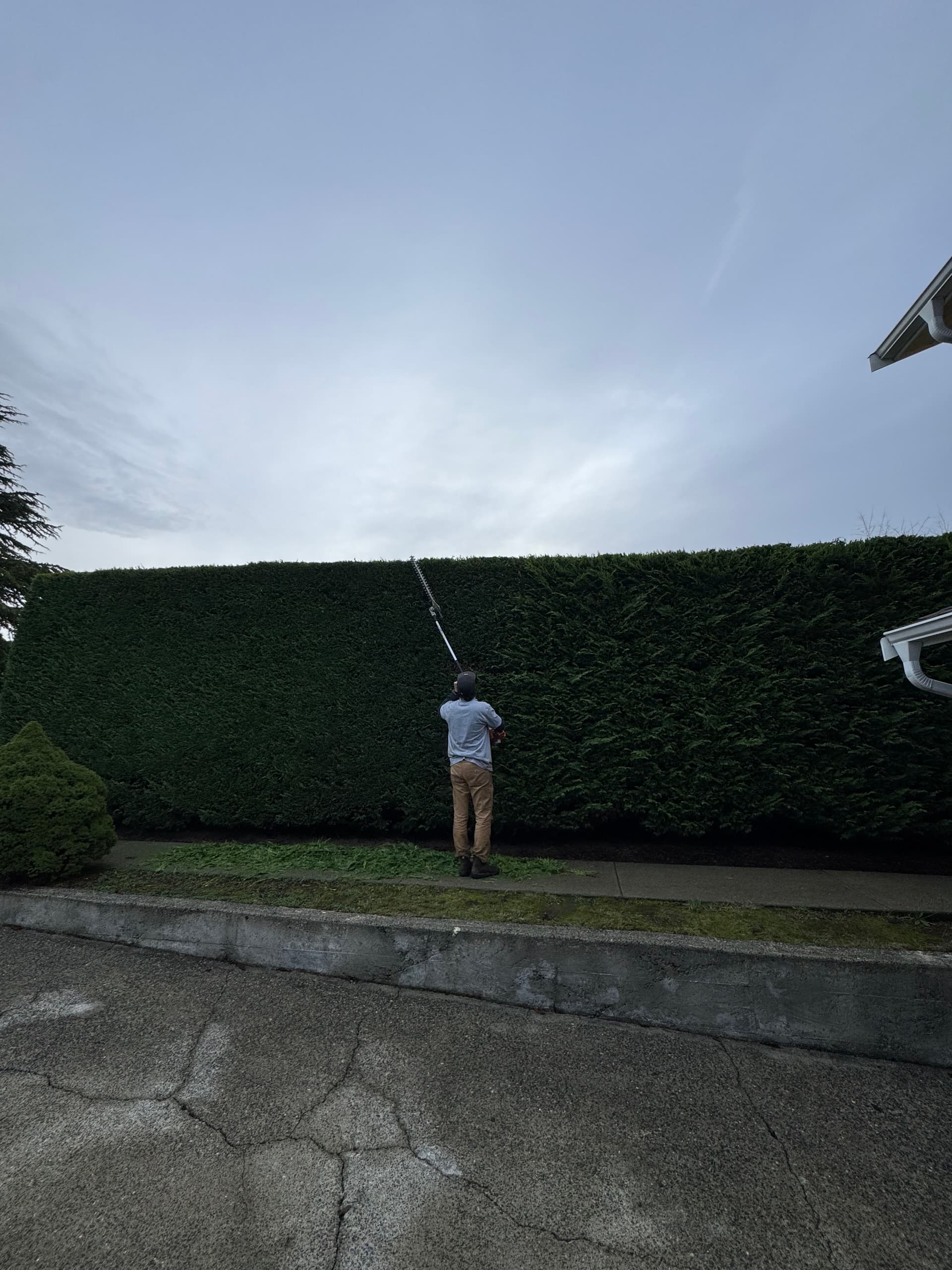 Gallery photos for Hedge Mastery in Action with Jesse: Image #2