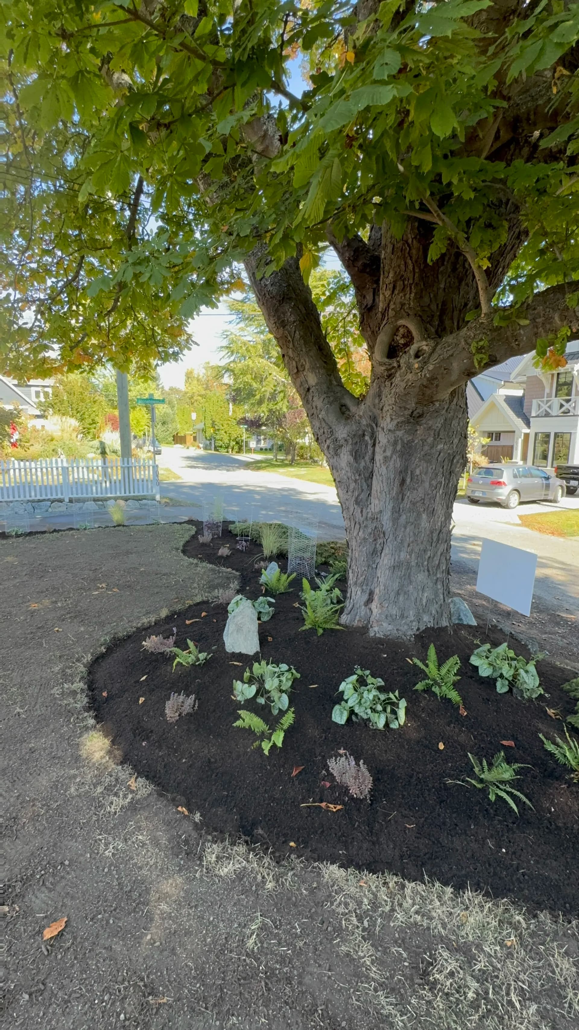Gallery photos for Fresh Mulch and New Plantings Give This Front Yard New Life: Image #3