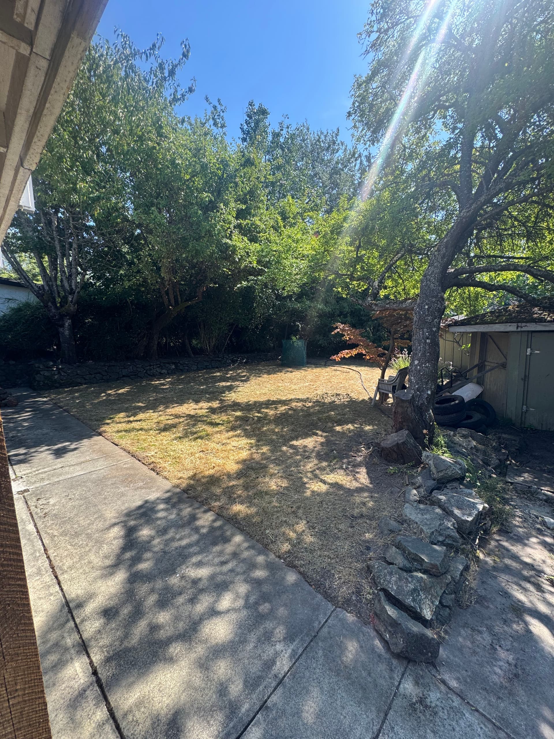 Victoria Backyard Cleanup That Gave a Family Their Space Back