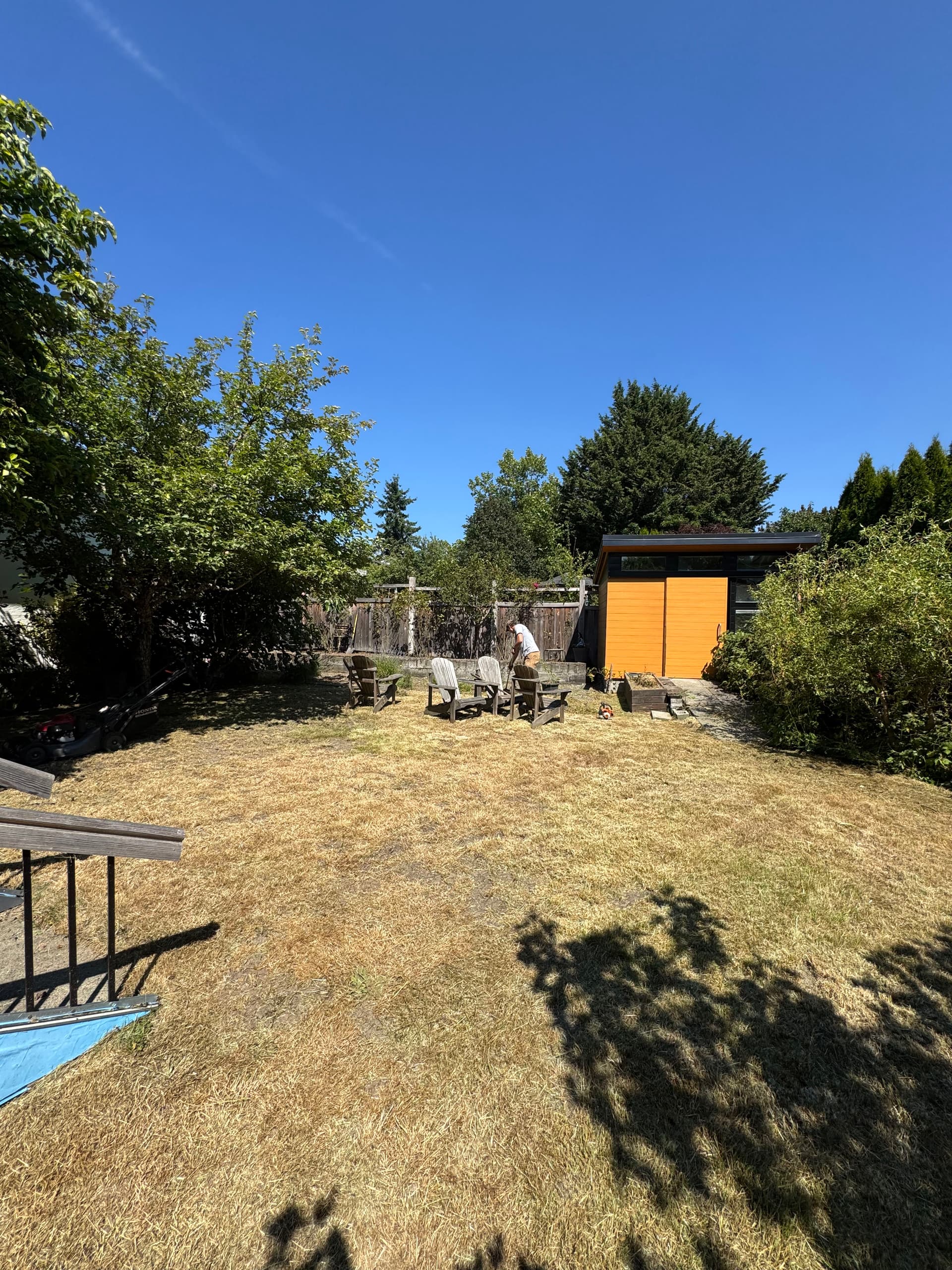 Gallery photos for 4 Hours to Take Back an Overgrown Yard on Vancouver Island: Image #1