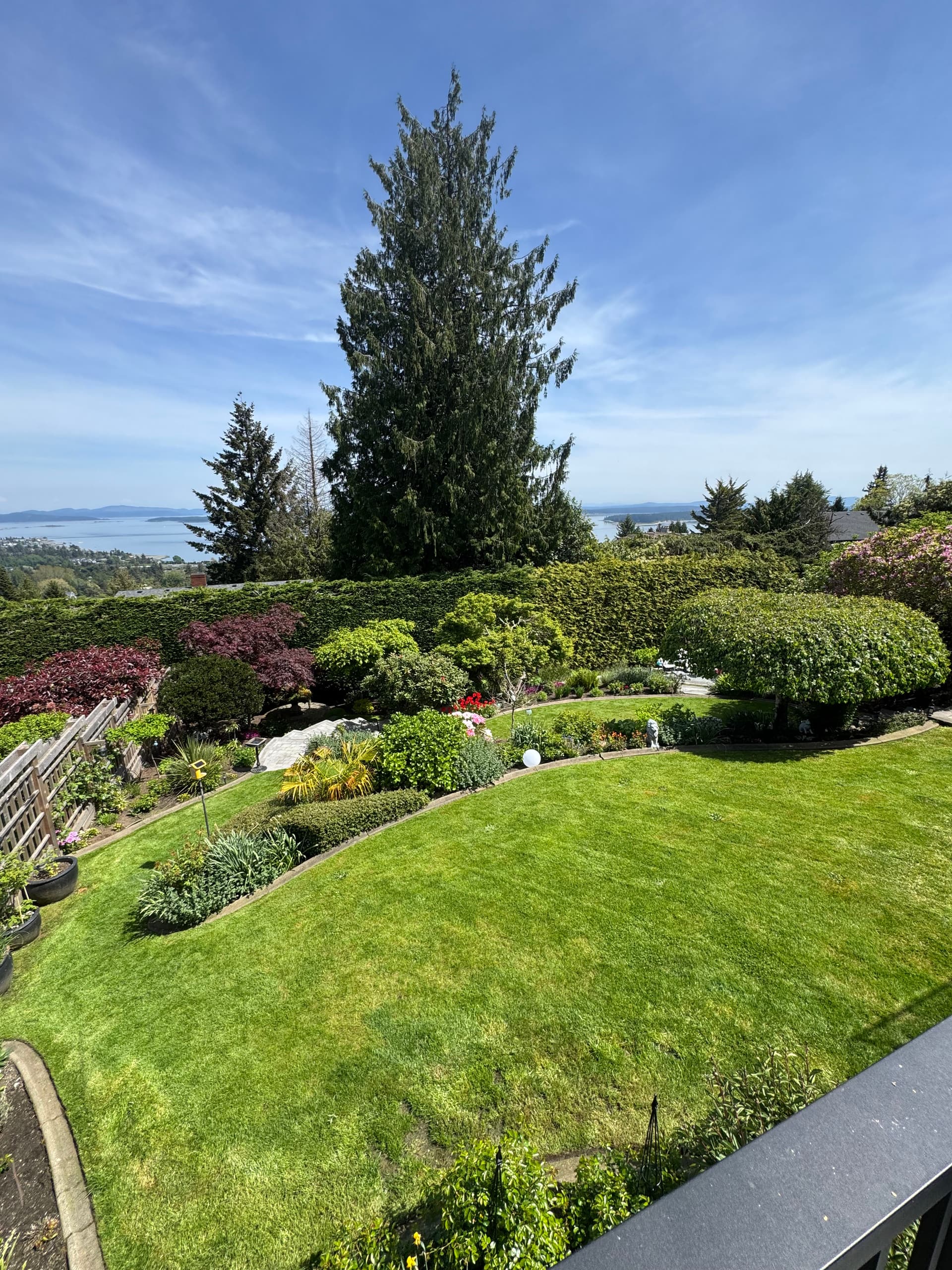 When Your Backyard Feels Like a Private Retreat image