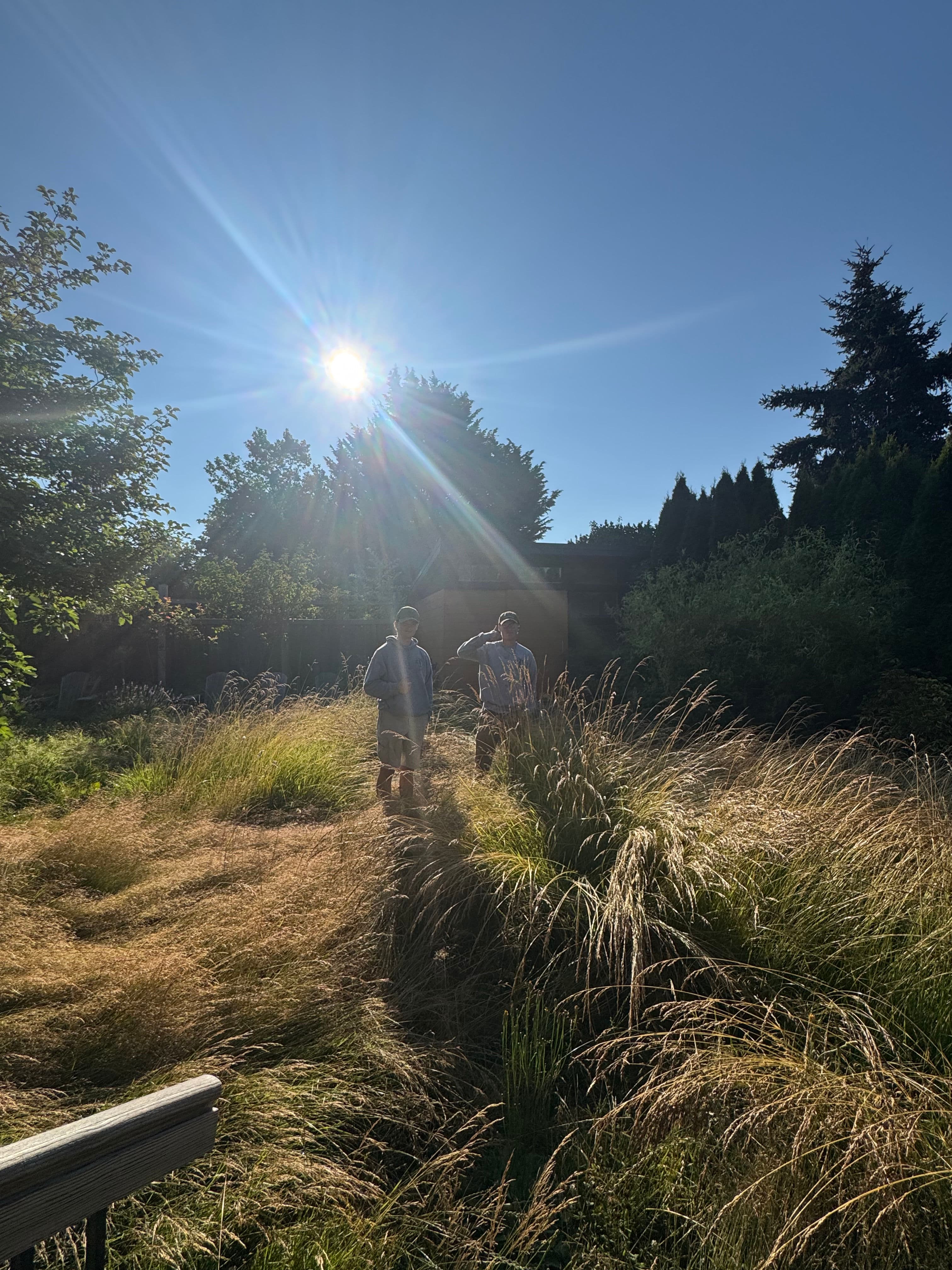 Project 4 Hours to Take Back an Overgrown Yard on Vancouver Island image