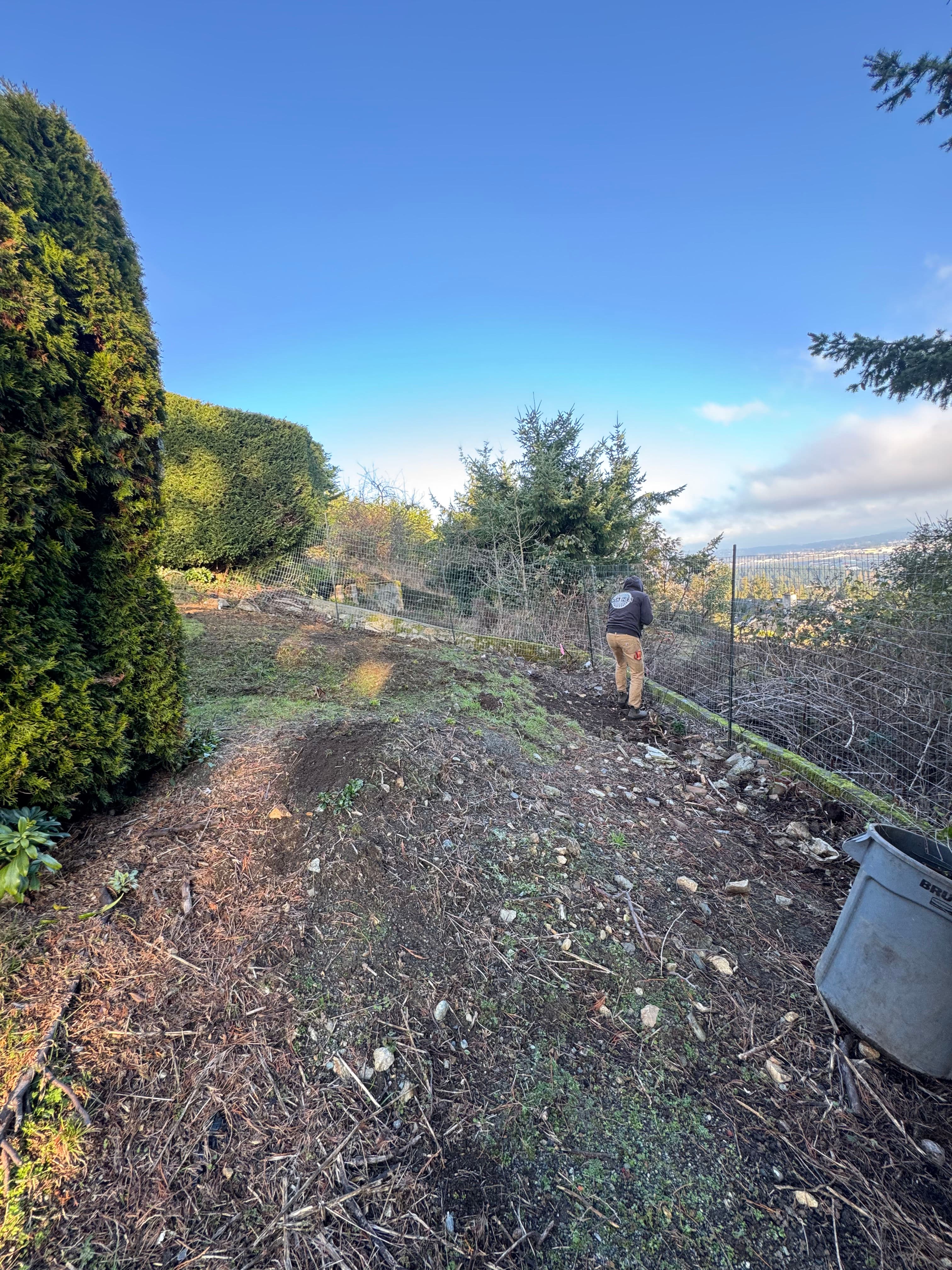 Project Turning a Sloped Challenge into a Scenic Space image