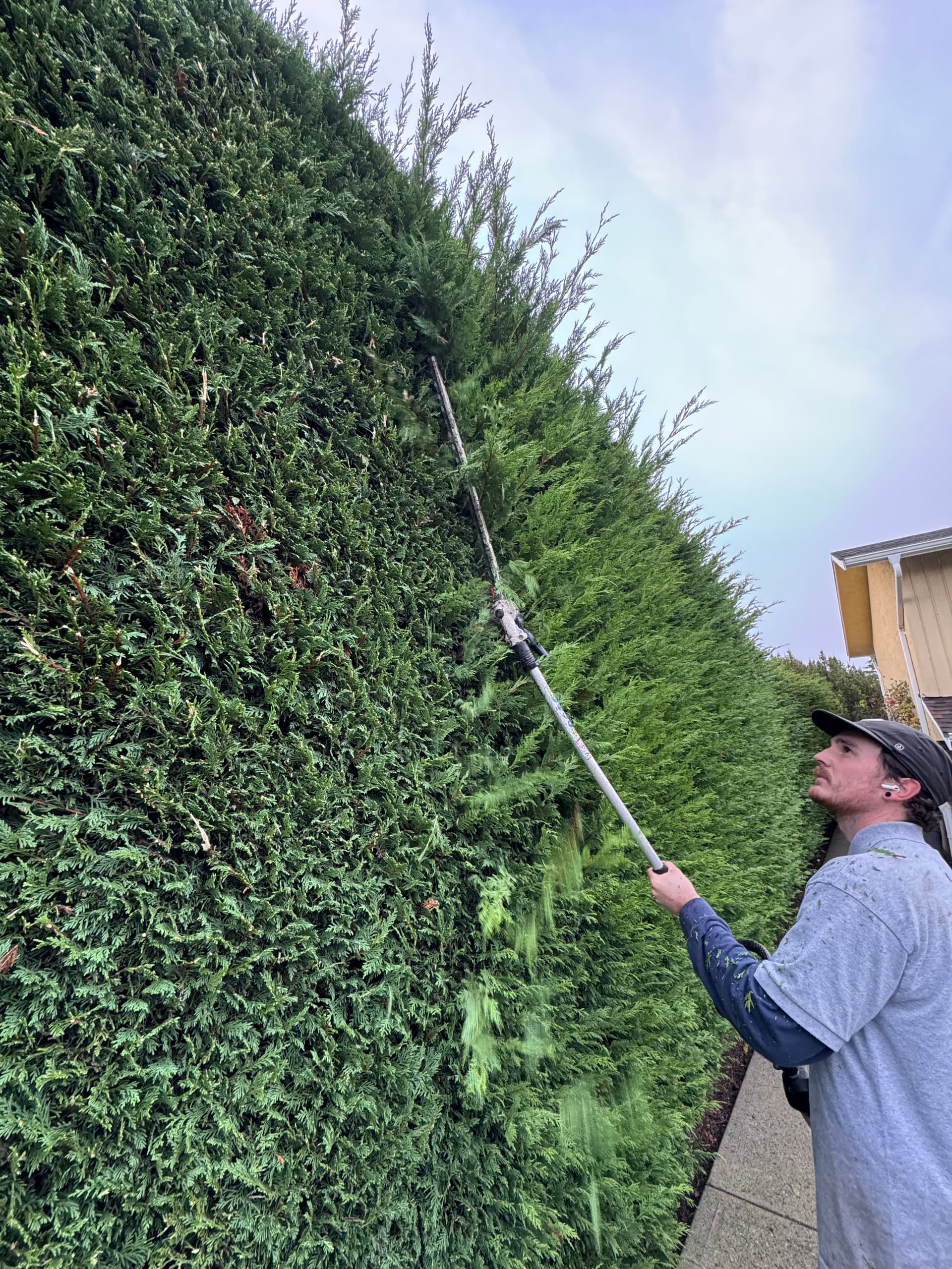 Hedge Mastery in Action with Jesse image