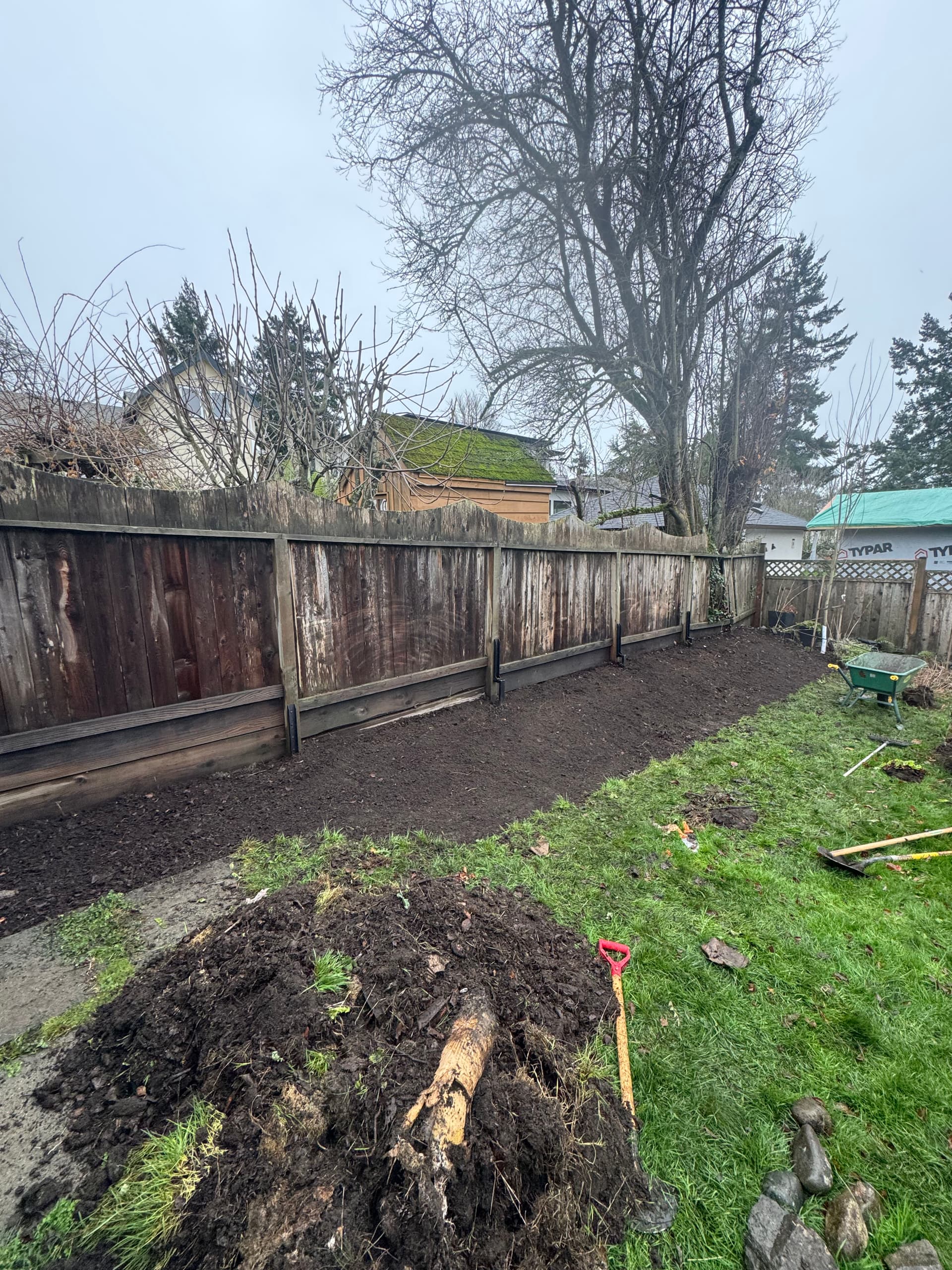 Gallery photos for Garden Refresh with Portuguese Laurel Hedge Installation: Image #1