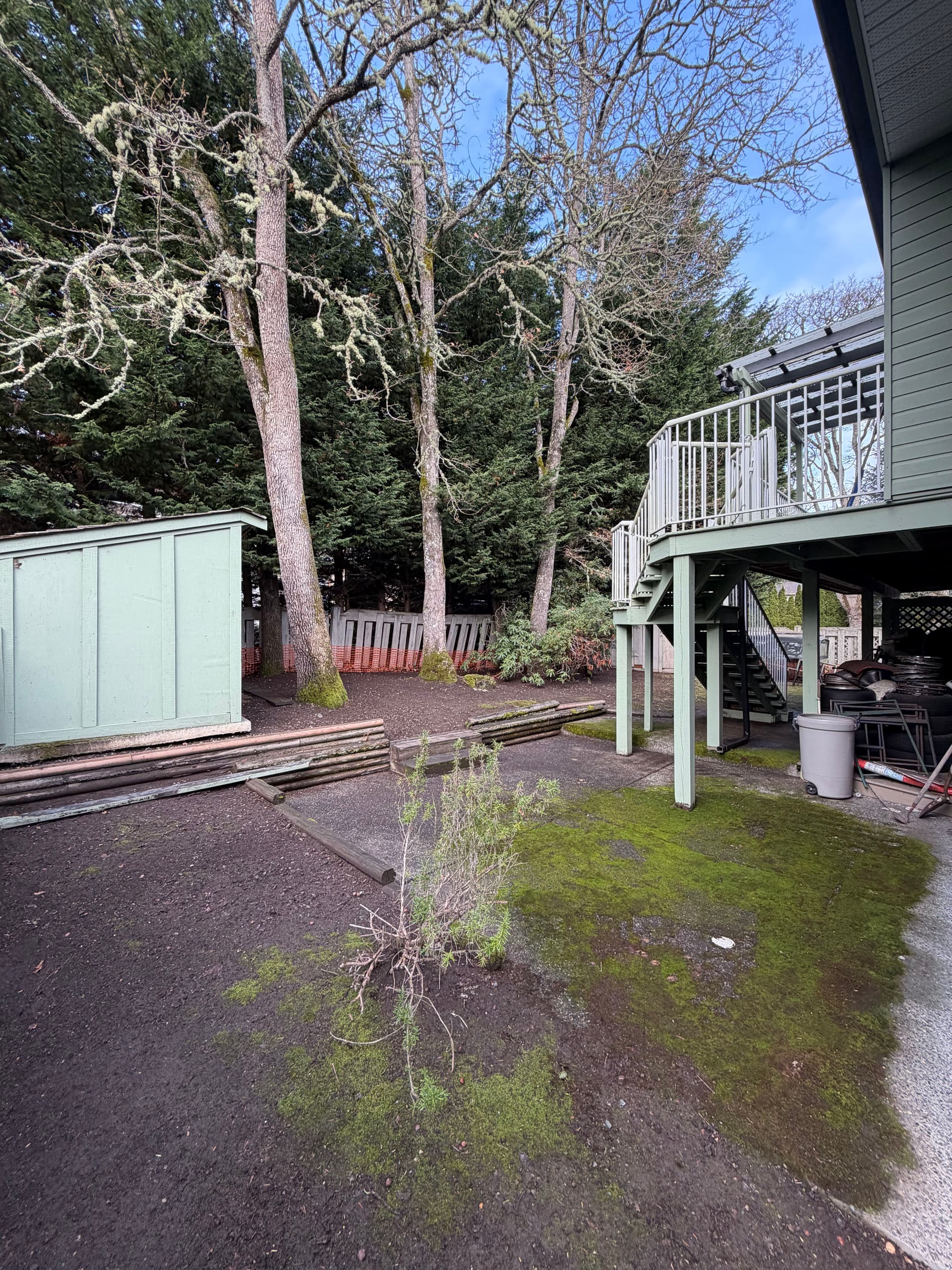 Leaf Cleanup in a Serene Backyard