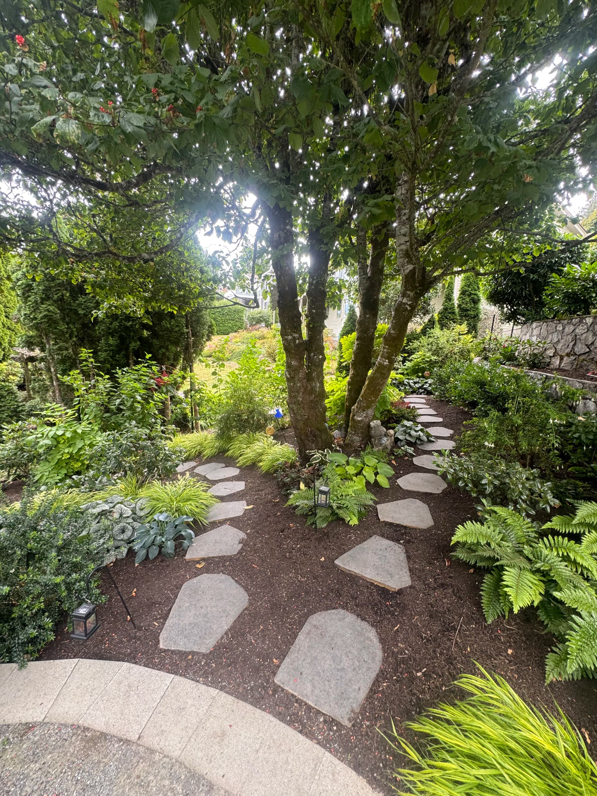 When a Garden Starts to Feel Like It Was Always There