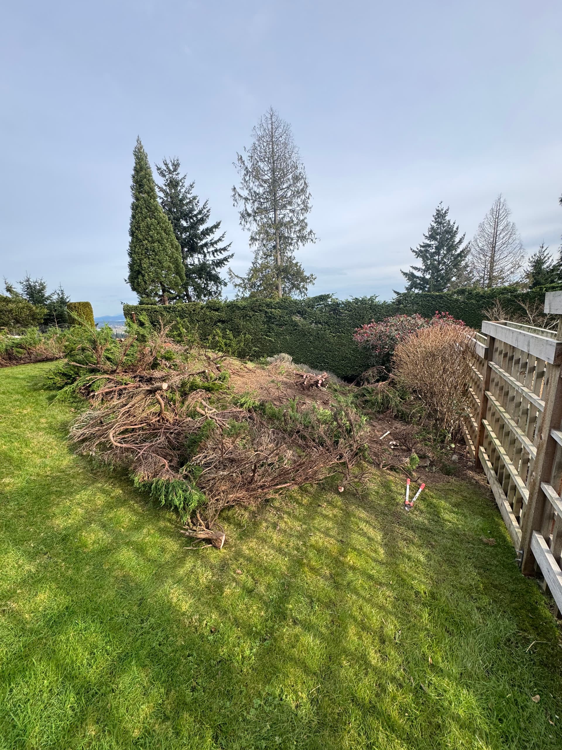 Garden Clean-Up and Refresh