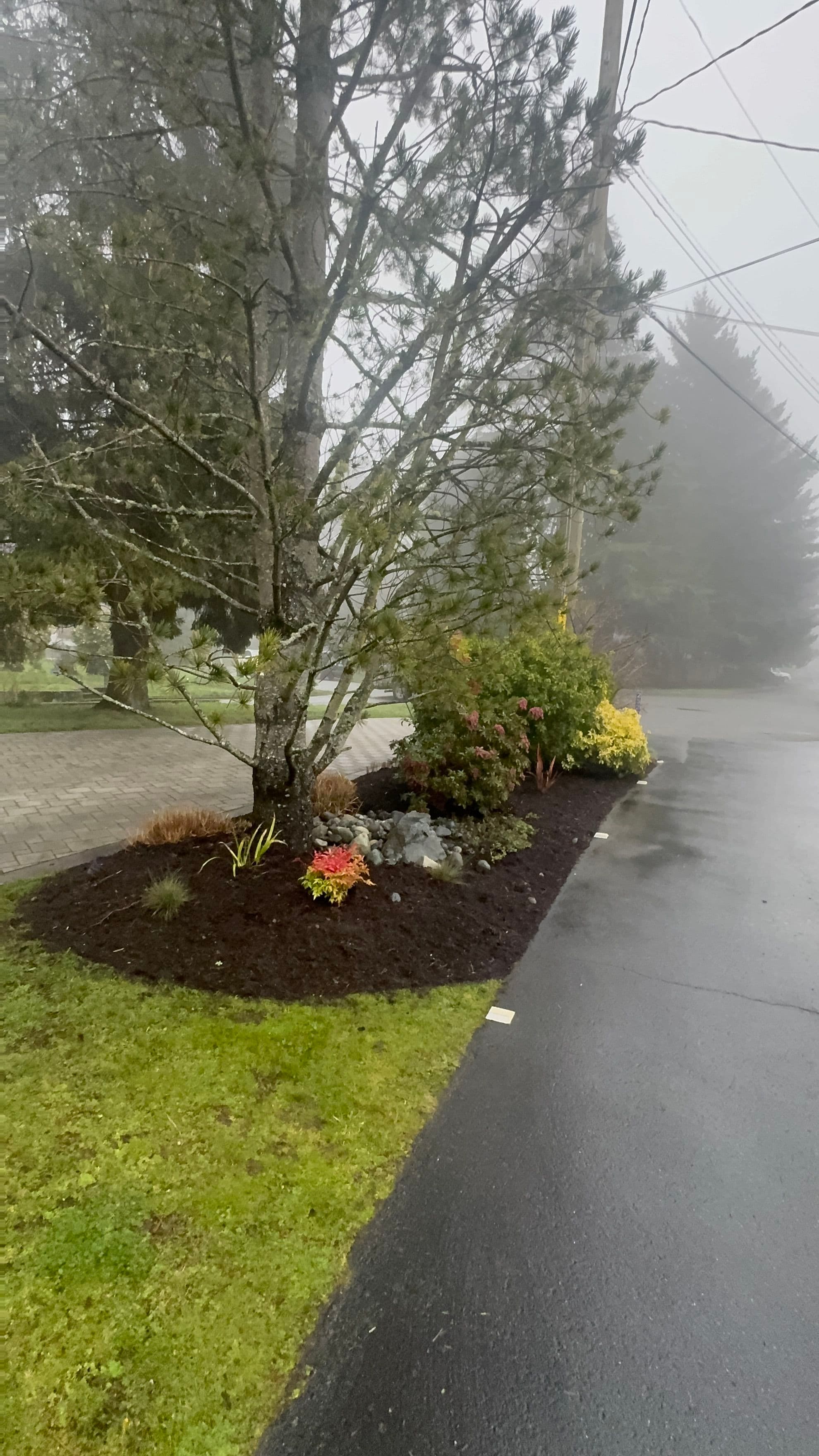 Project Creating Calm: Misty Morning Garden Design image