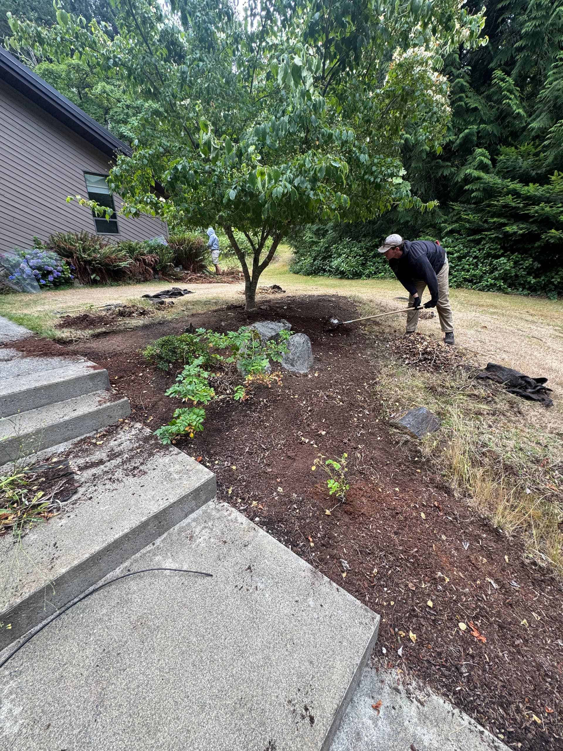 Gallery photos for Fresh Mulch and Clean Bed Edges Make the Whole Yard Pop: Image #1