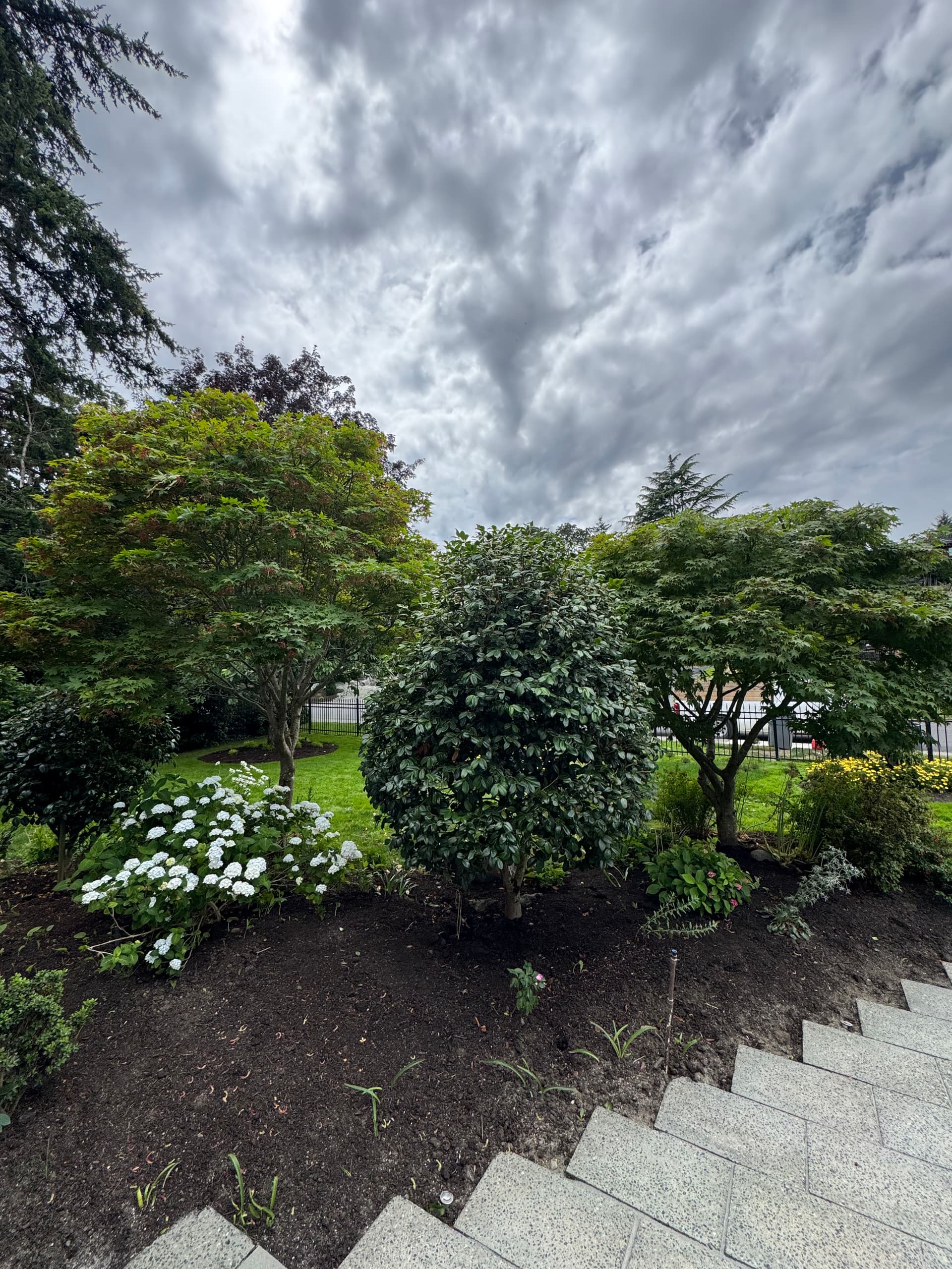 Gallery photos for Mid-Summer Shrub Cutback That Makes the Whole Garden Pop: Image #2