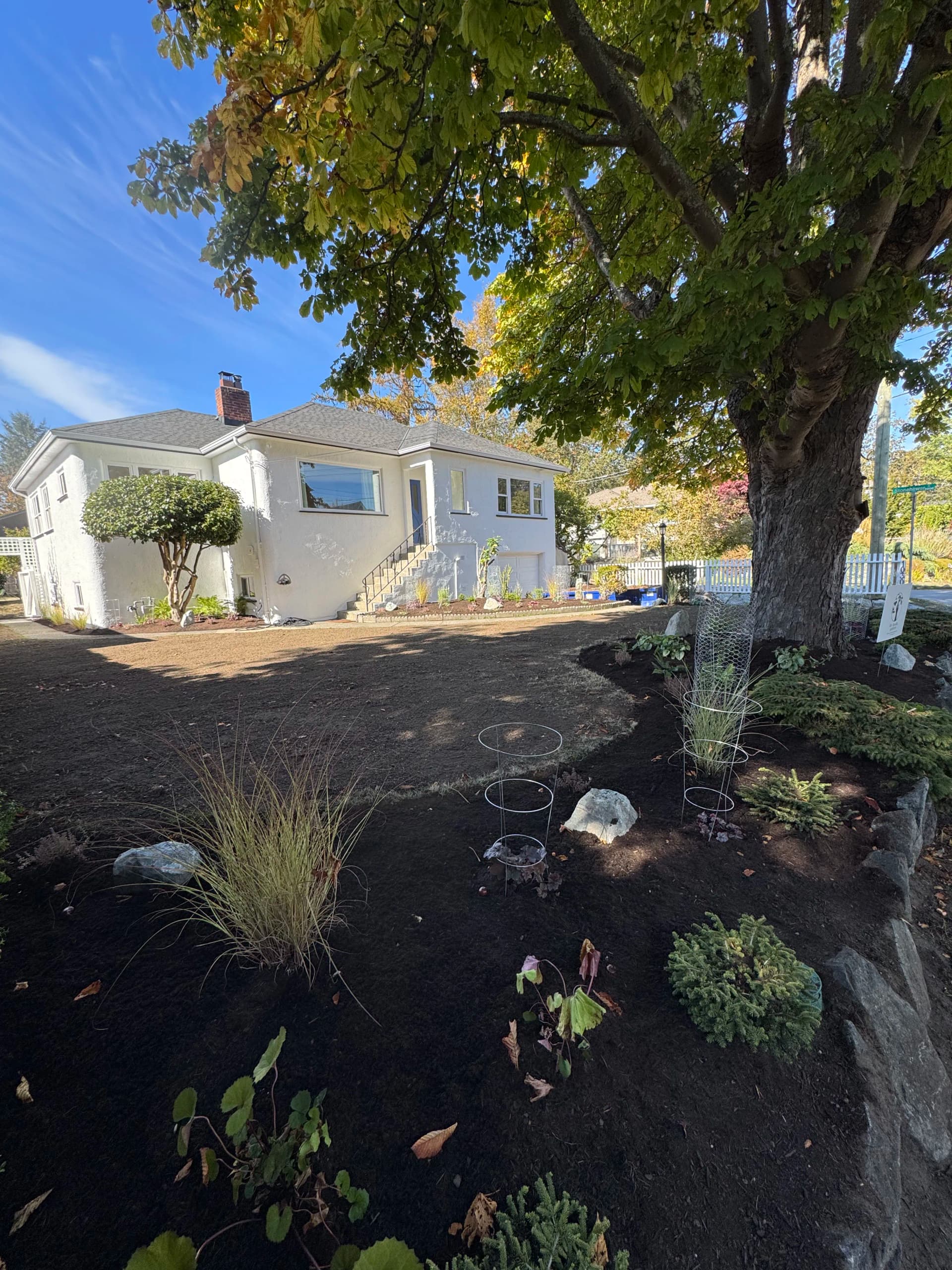 Fresh Mulch and New Plantings Give This Front Yard New Life image