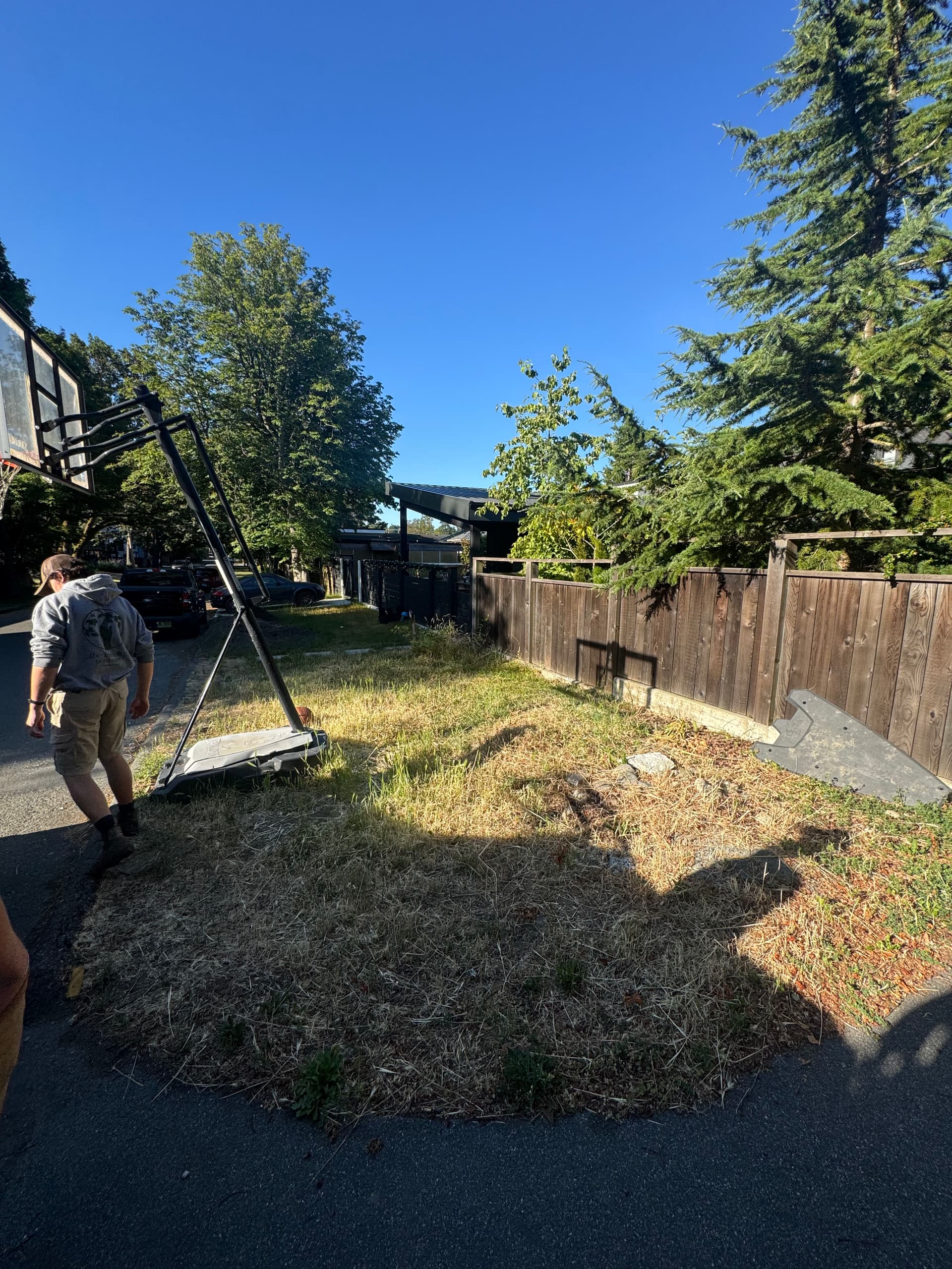 Lawn Reset After Construction Damage - Starting Fresh image