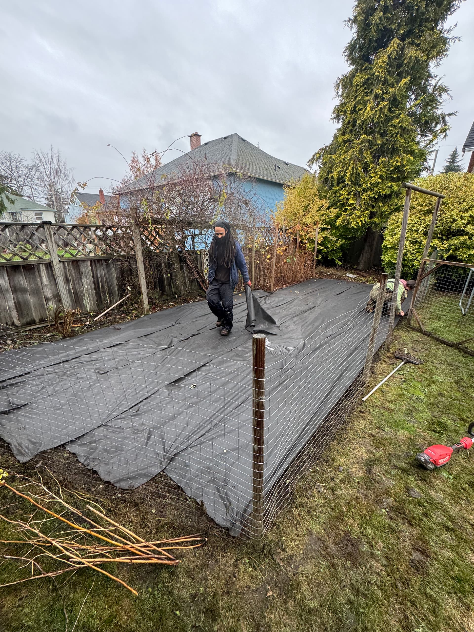 Weed and Grass Removal Sets Stage for a Vibrant Garden
