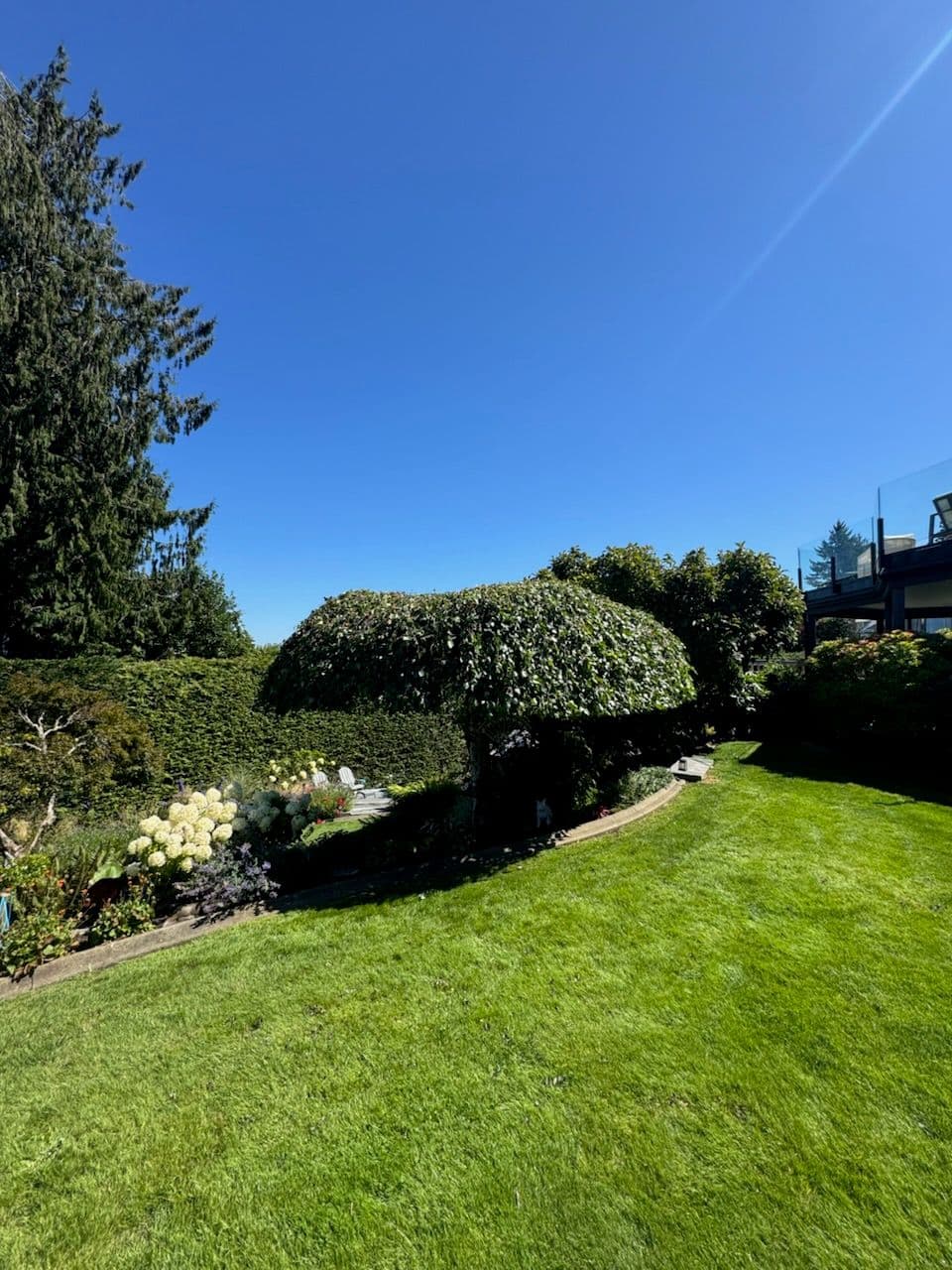 Project Masterful Hedge Trimming in North Saanich image