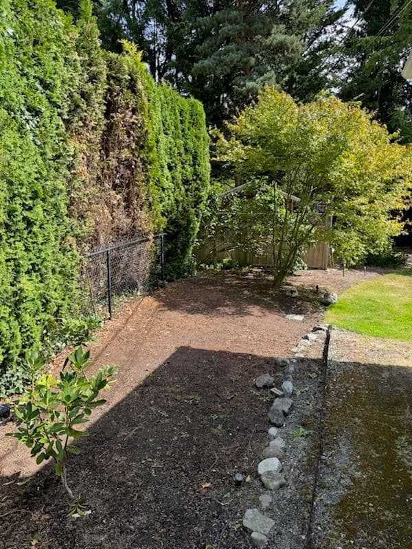 Gallery photos for Garden Pathway Revamp for a Fresh Look: Image #1