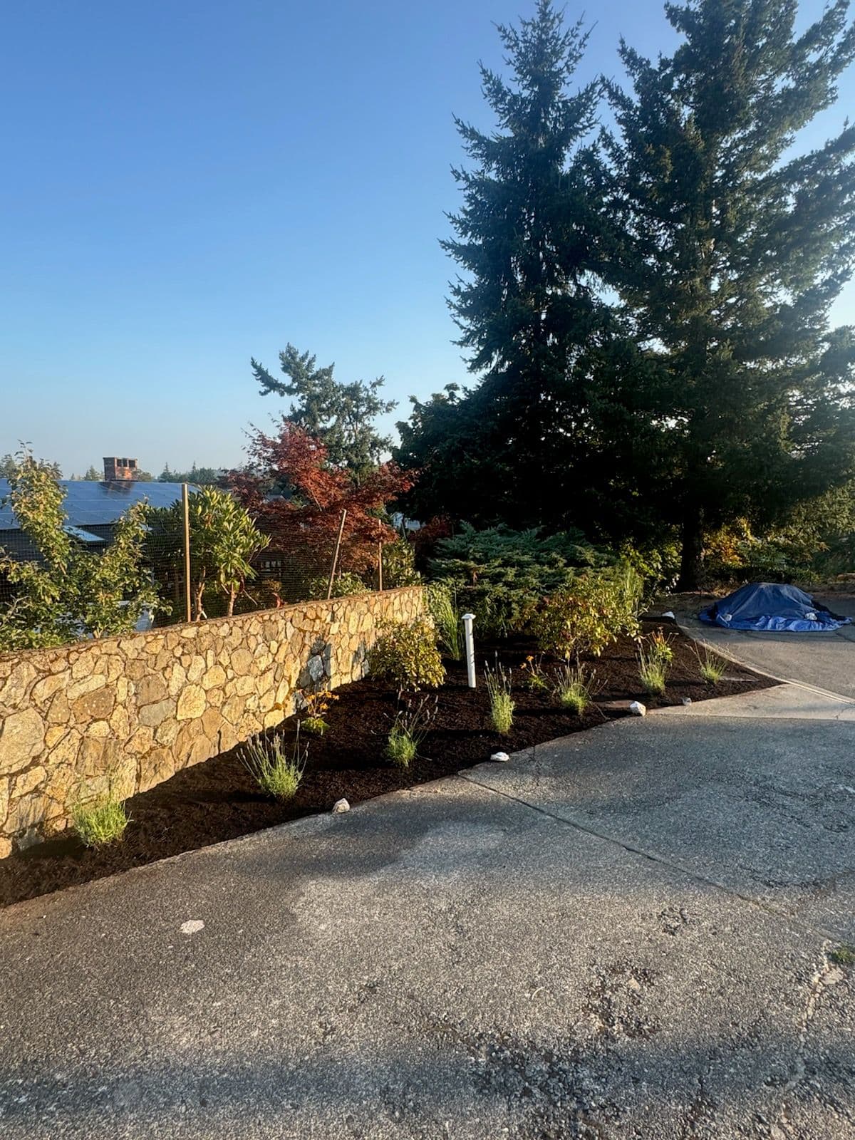 Project Revitalized Garden Installation Creates Tranquil Escape image