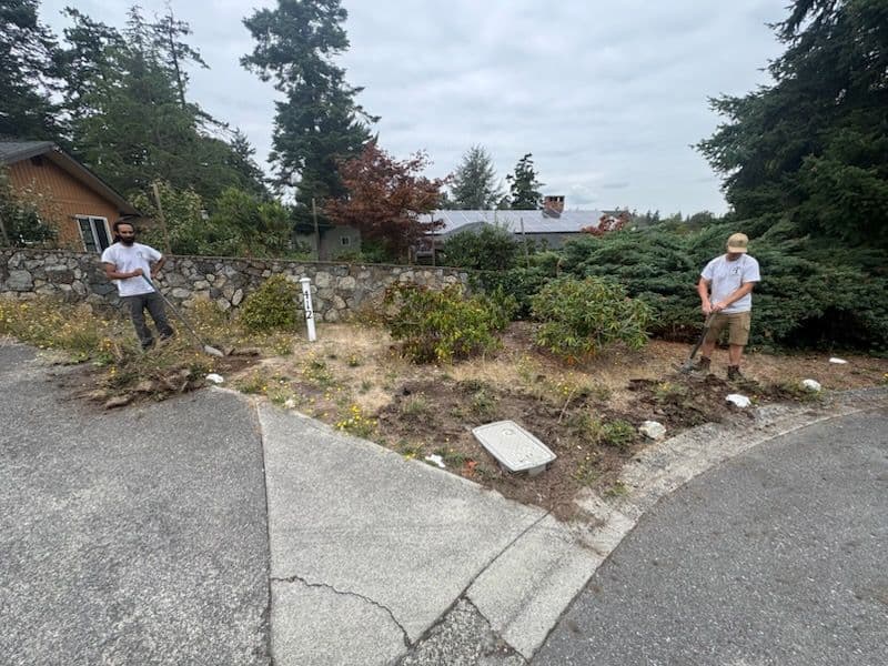 Transformative Garden Installation Excellence