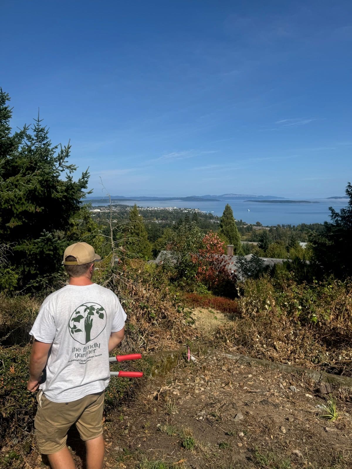Project Scenic Garden Maintenance in Victoria Bliss image