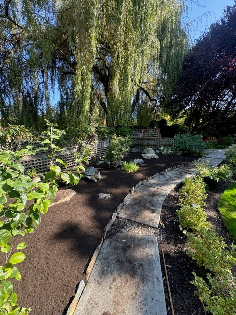 Creating a Tranquil Garden Pathway with Nutrient-Rich Soil