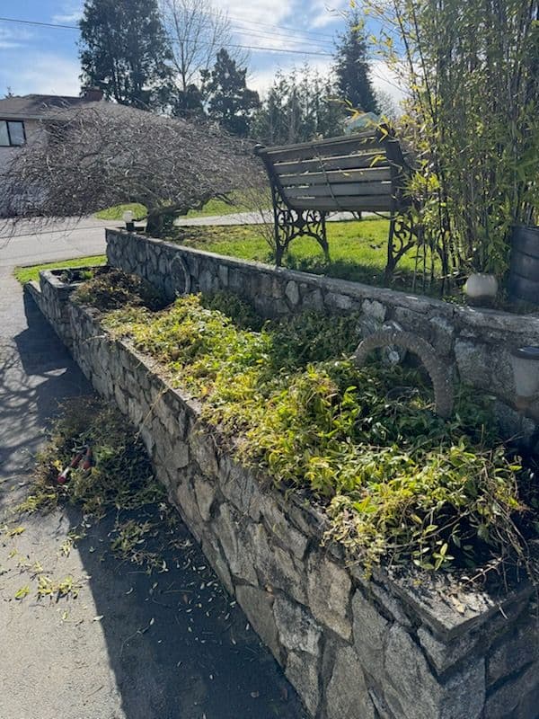 Raised Garden Bed Renewal