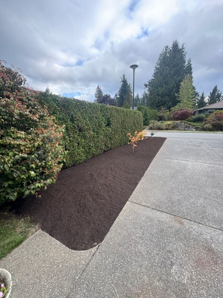 Project Garden Bed Makeover with Hedge Trimming and Cleanup image