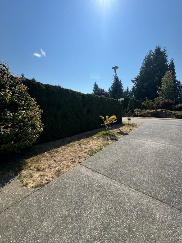 Gallery photos for Garden Bed Makeover with Hedge Trimming and Cleanup: Image #1