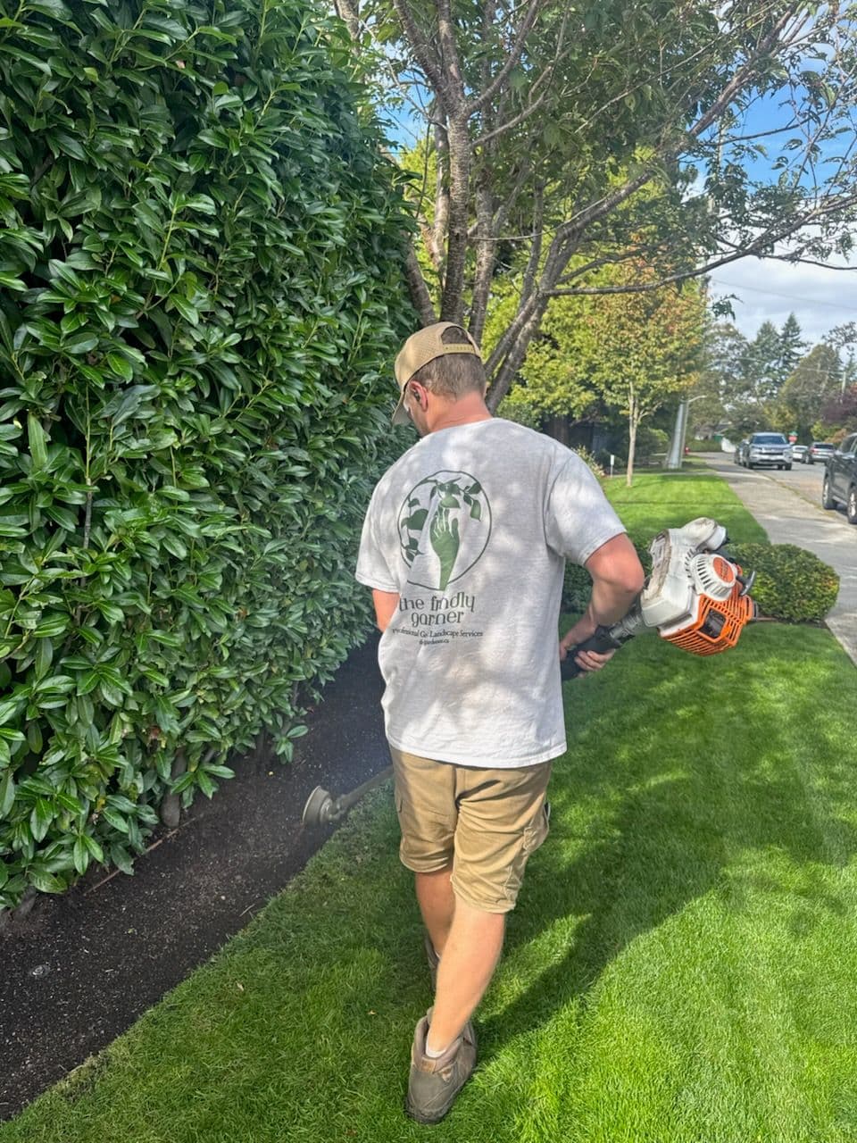 Precision Line Trimming by The Friendly Gardener