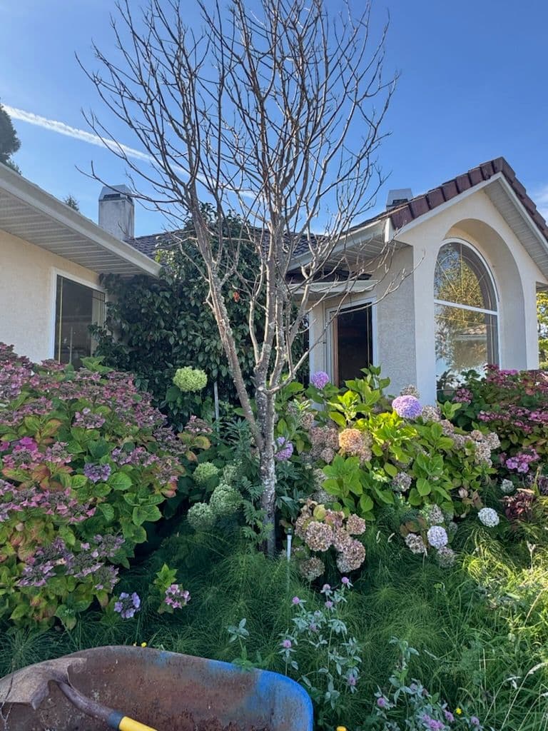Project Garden Makeover Perfection image