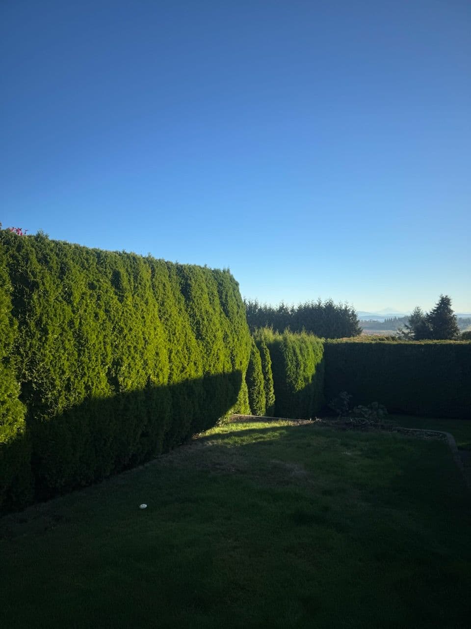 Project Expert Hedge Trimming in Central Saanich image