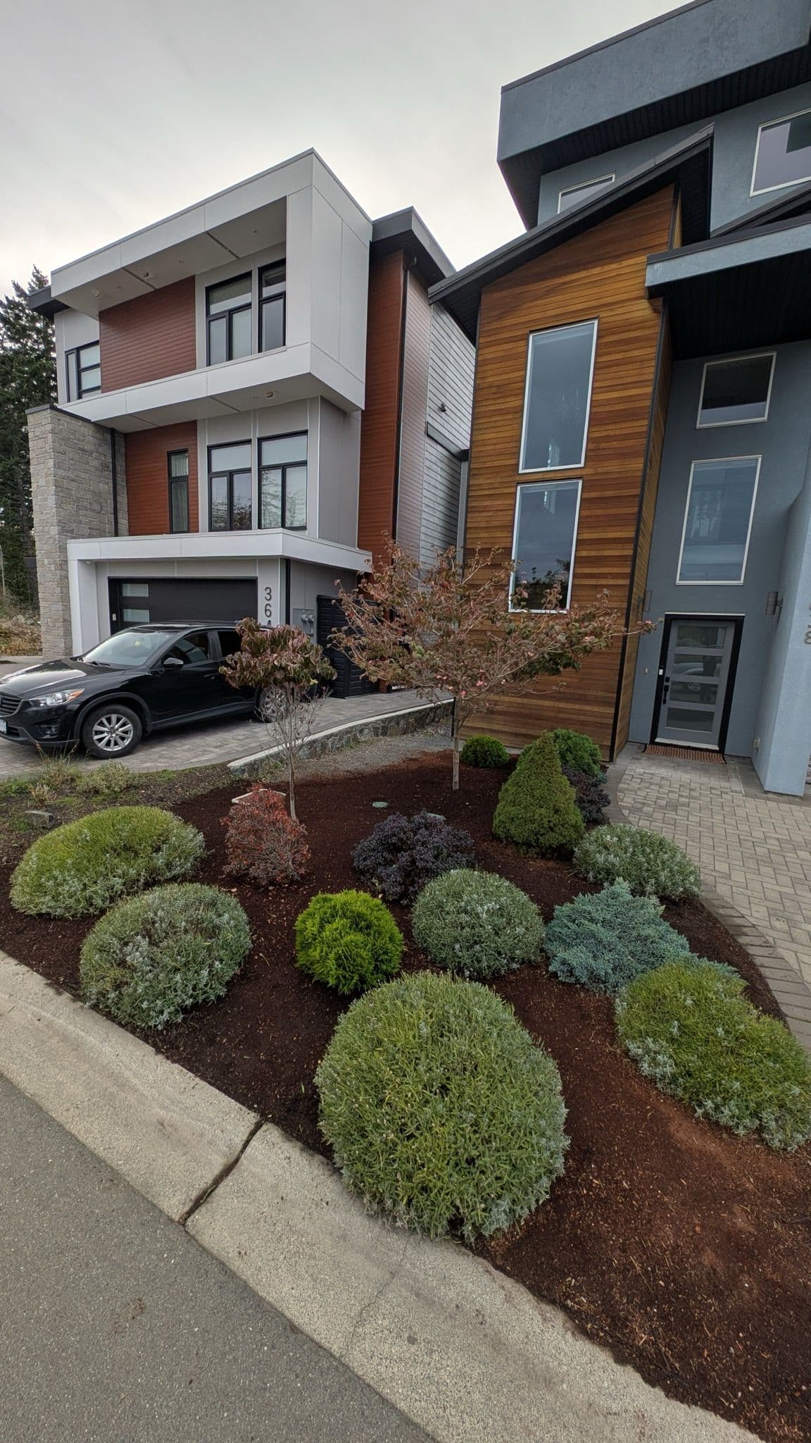 Project Garden Transformation in Colwood by The Friendly Gardener image