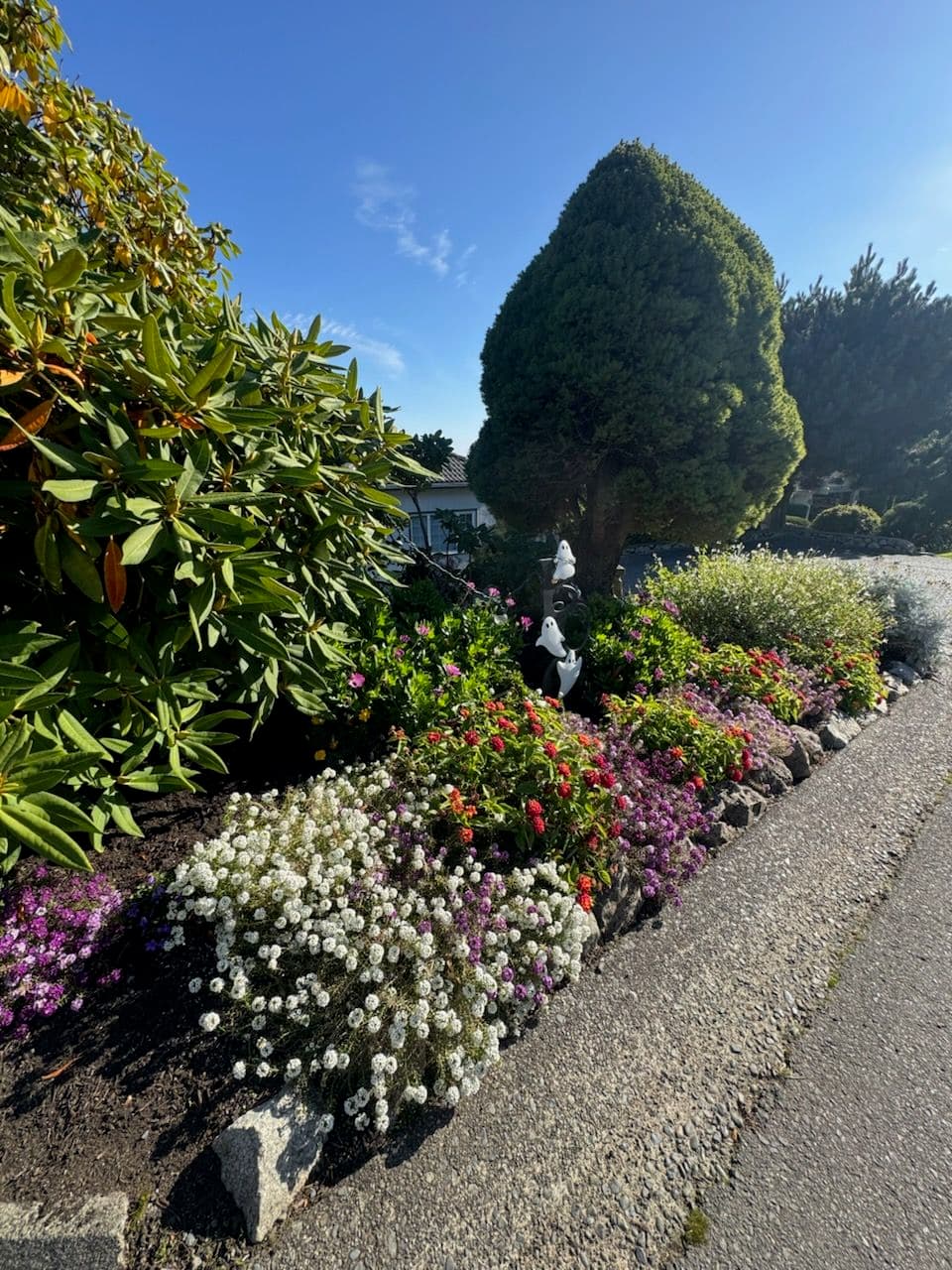 Project A Blooming Oasis of White, Purple, and Red image