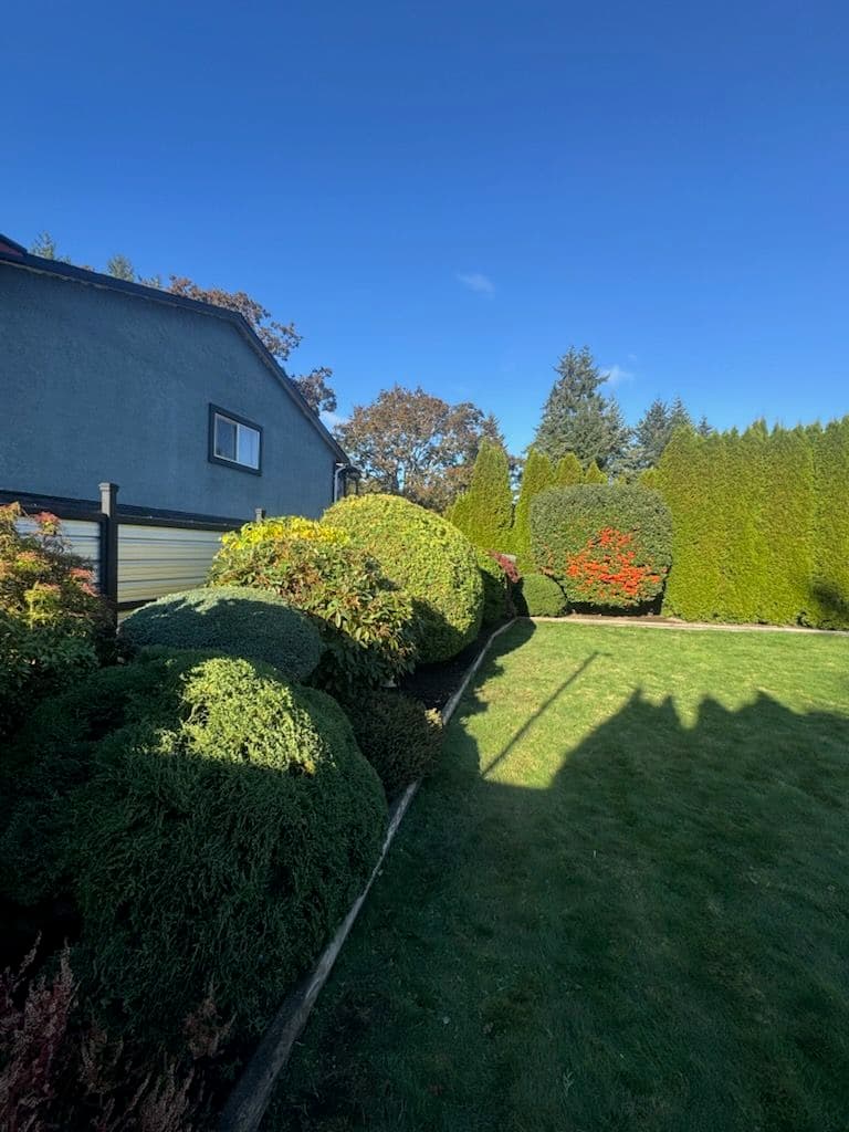 Project Garden Transformation in Colwood image