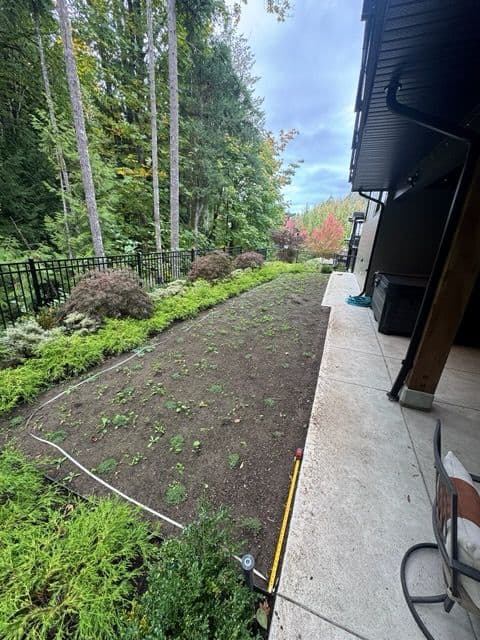 Shade Garden Creation at Bear Mountain
