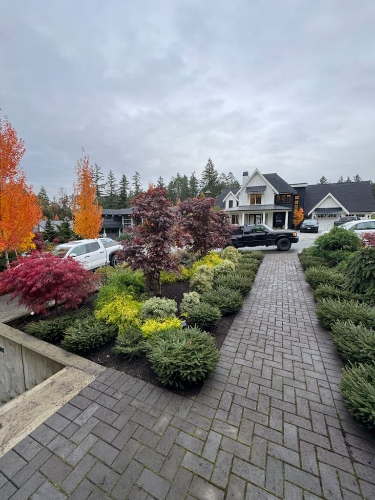 Project Fall Garden Makeover and Cleanup image