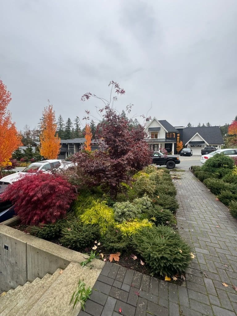 Gallery photos for Fall Garden Makeover and Cleanup: Image #1