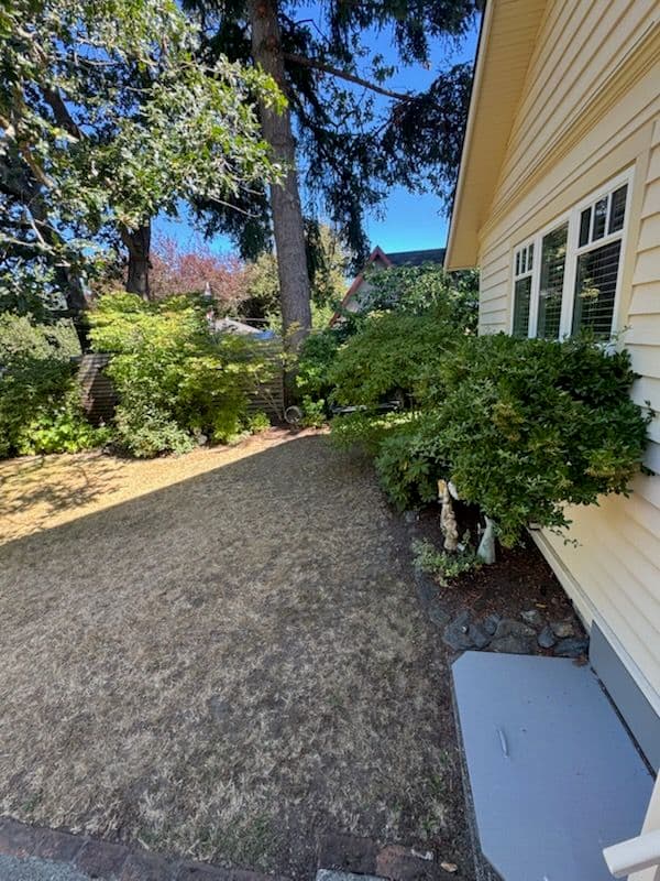 Gallery photos for Weather-Ready Garden Transformation: Image #1