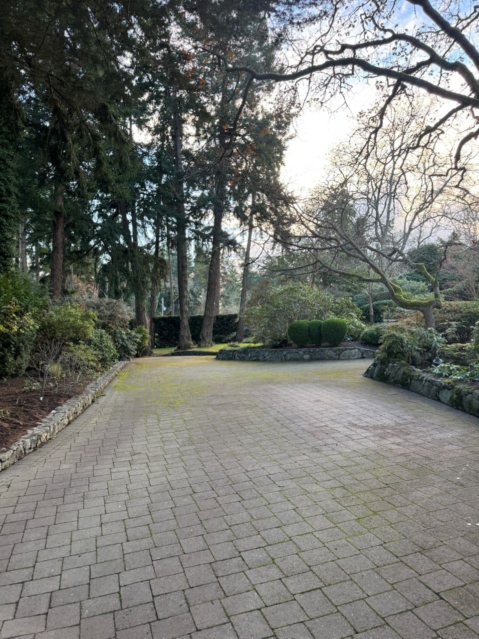 Immaculate Pathway Perfection by The Friendly Gardener